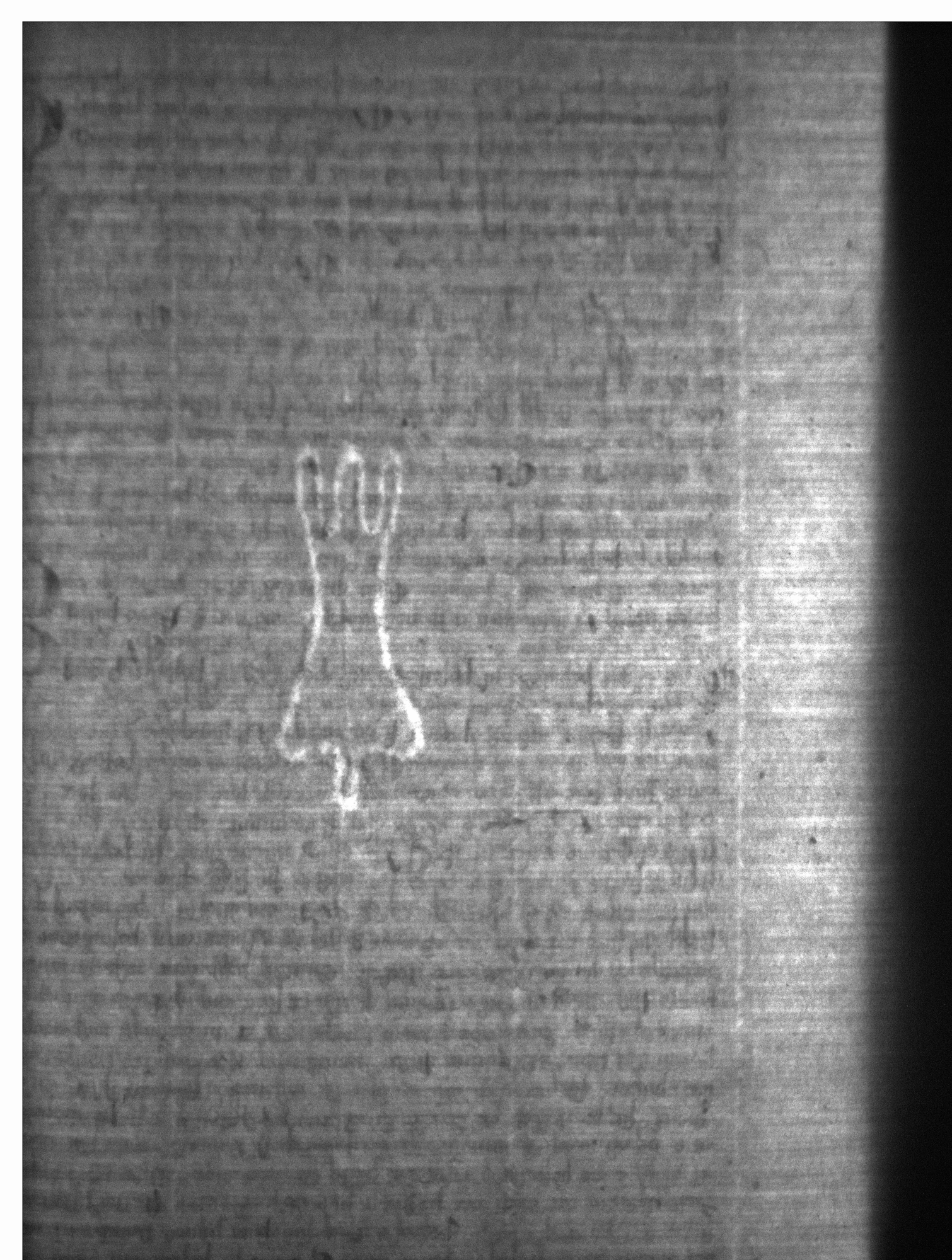 Watermark