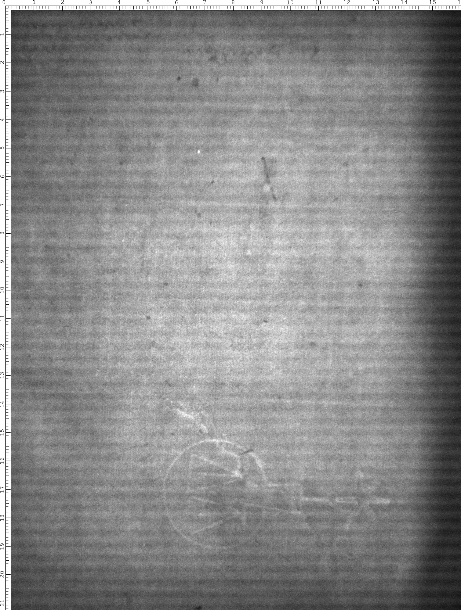 Watermark
