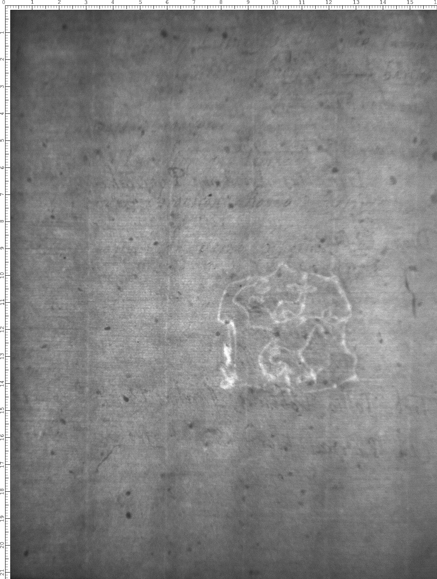 Watermark