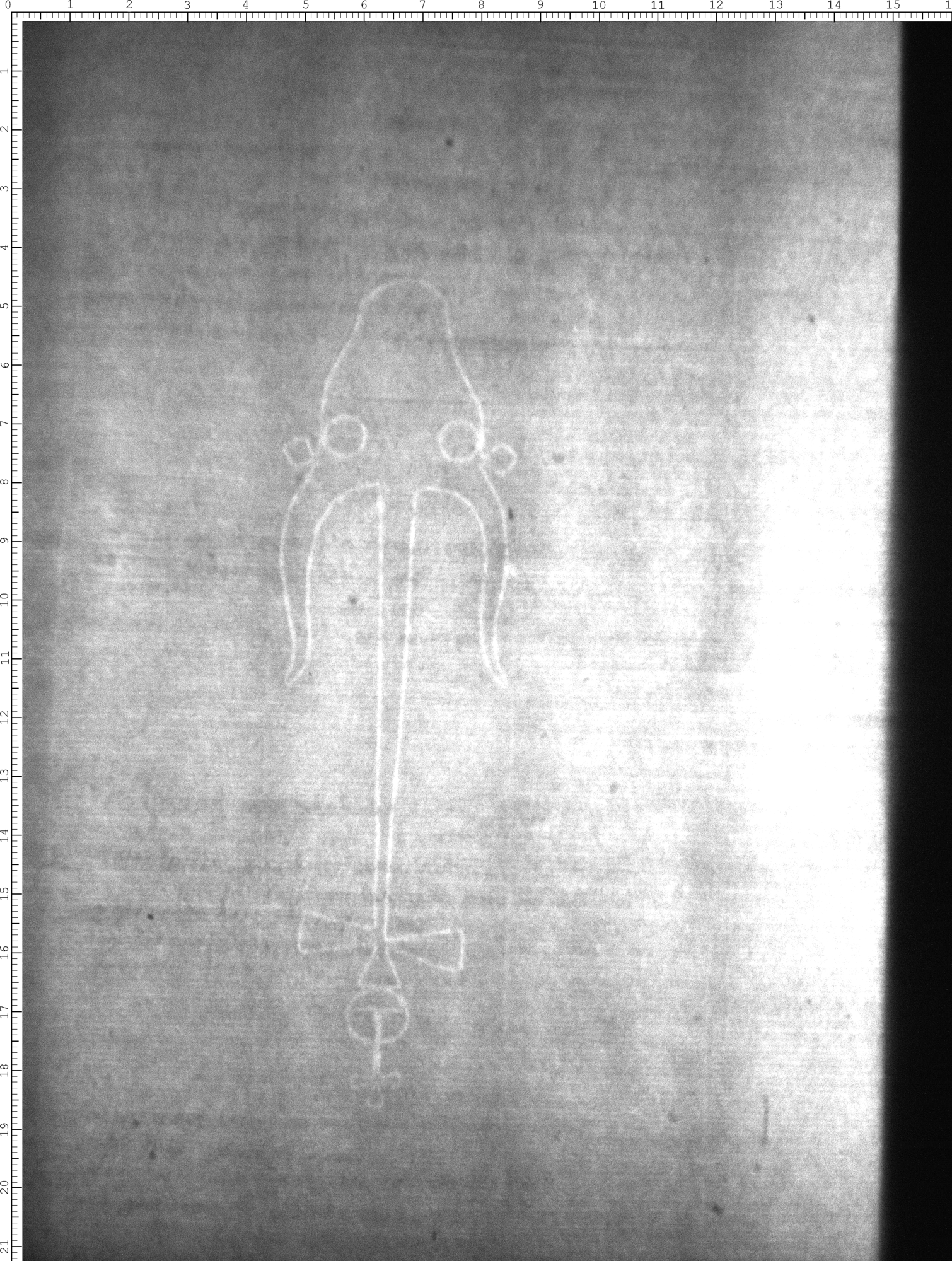 Watermark
