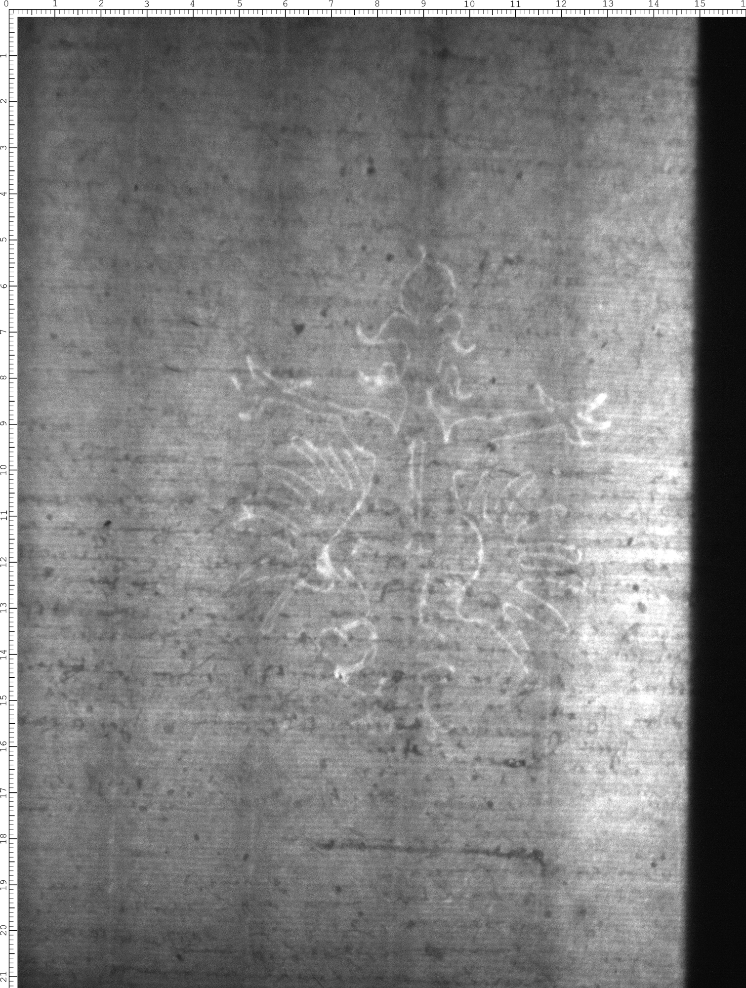 Watermark