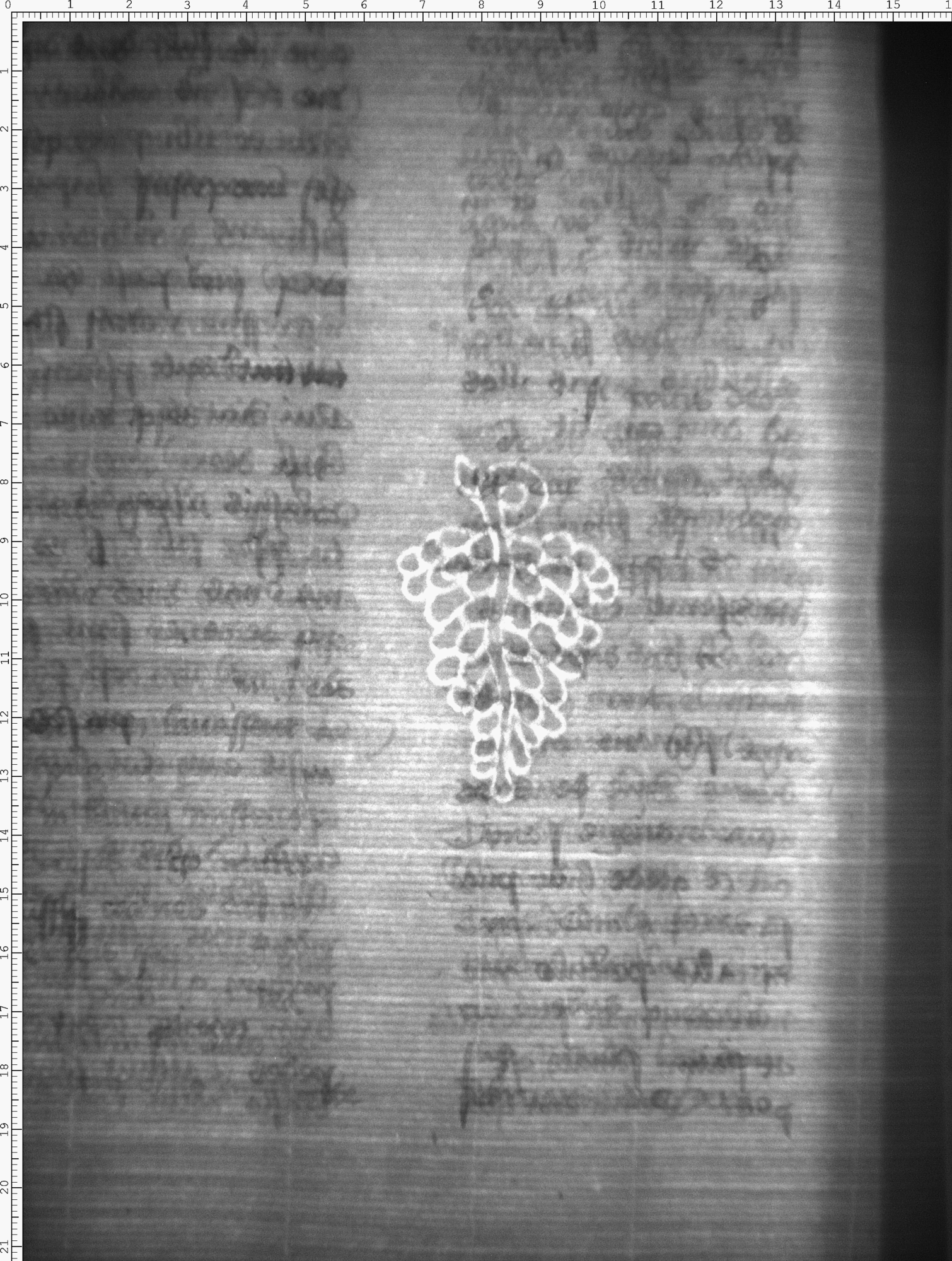 Watermark