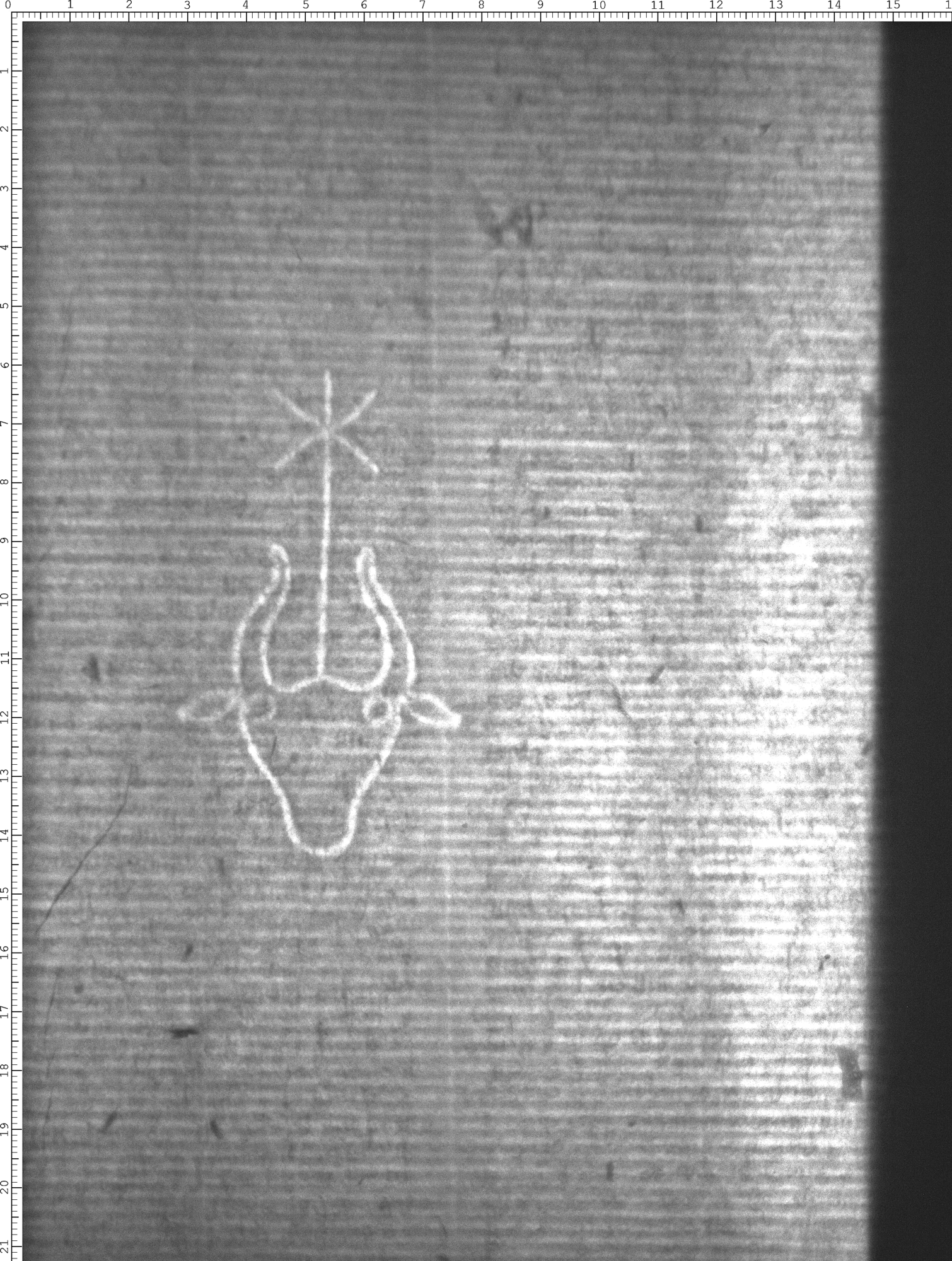 Watermark