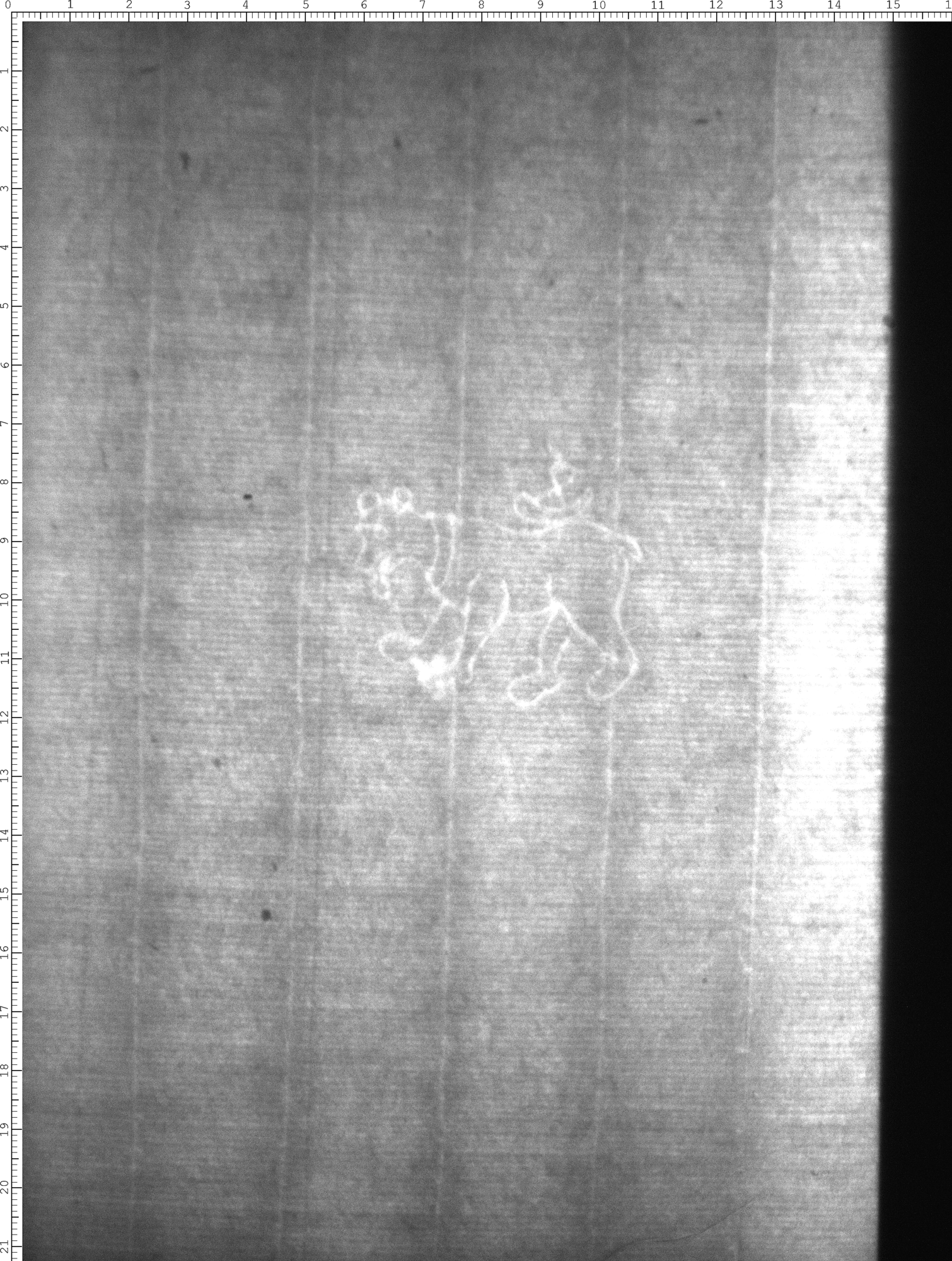 Watermark