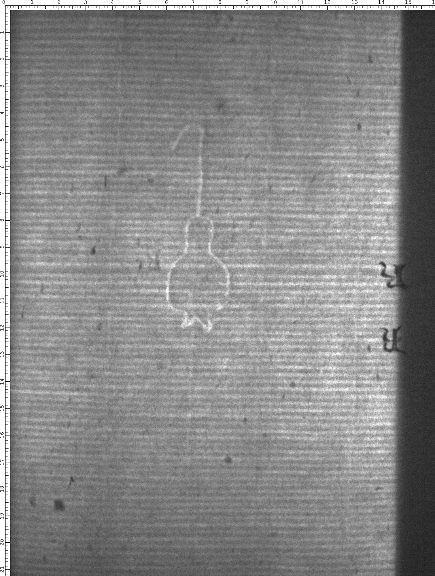 Watermark