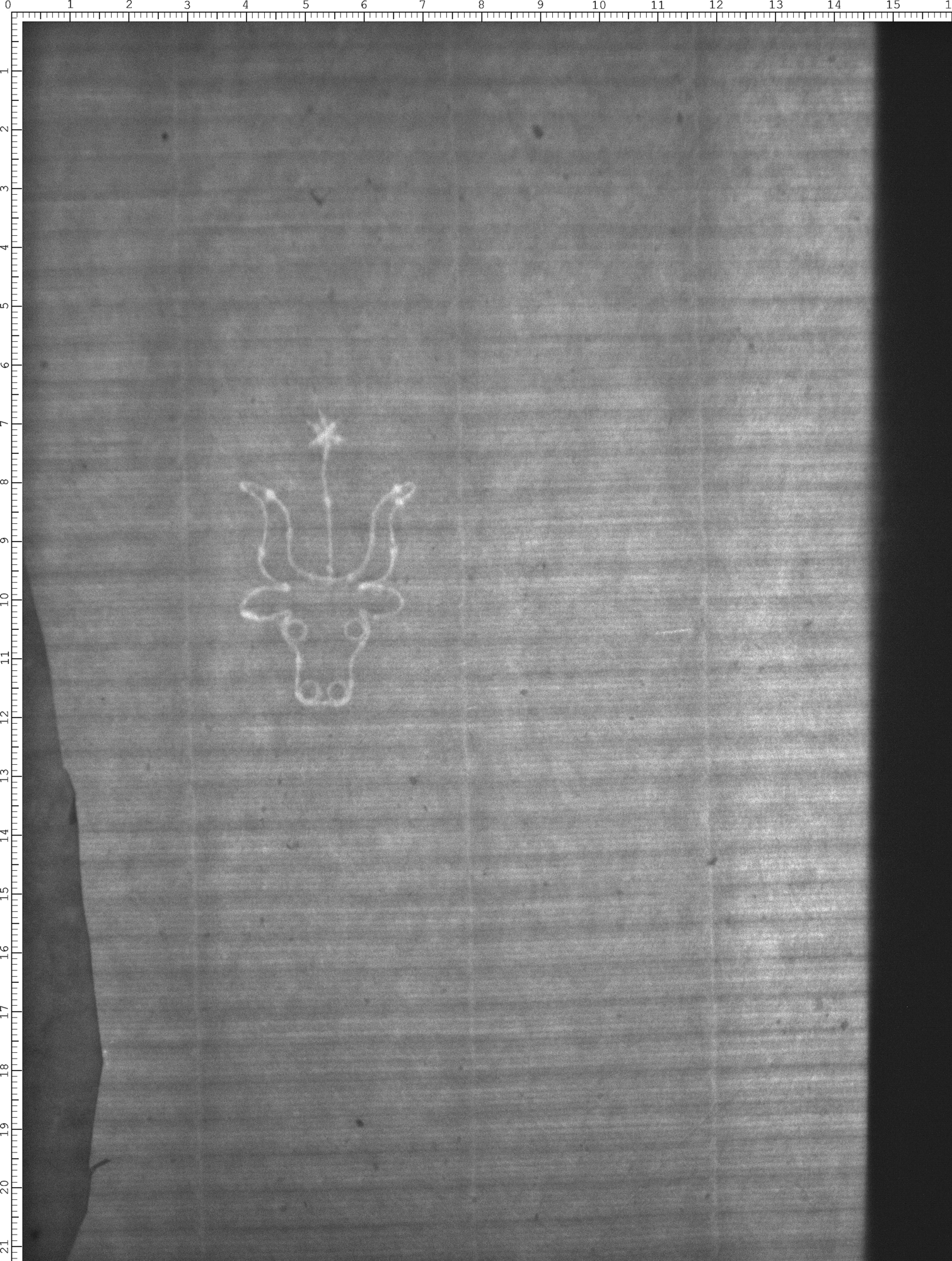 Watermark