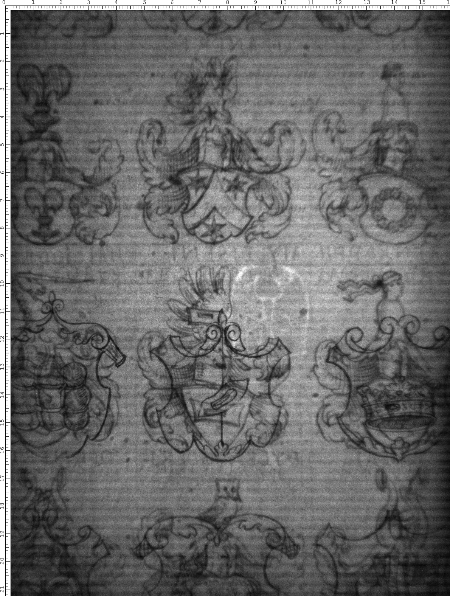Watermark