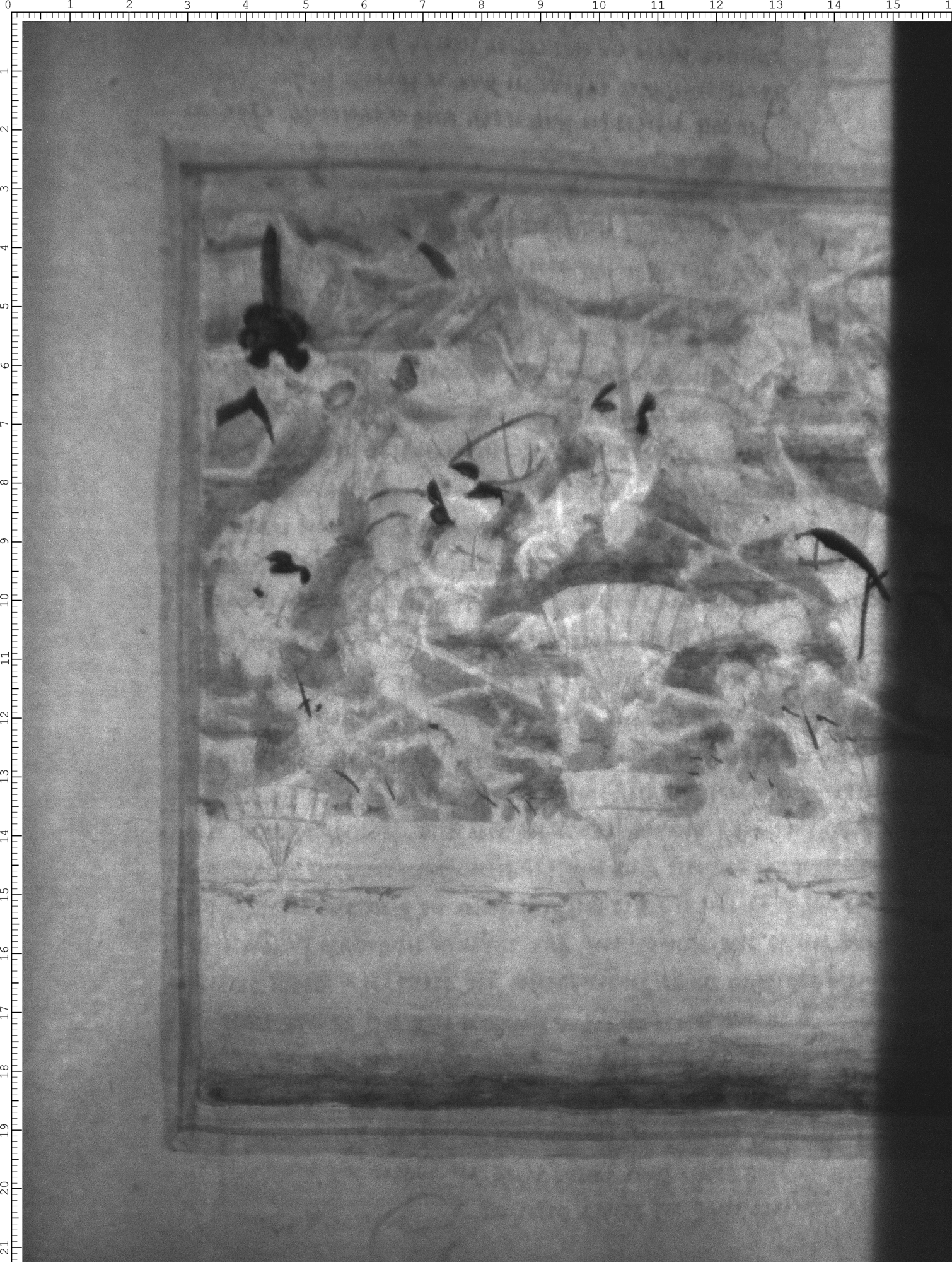 Watermark