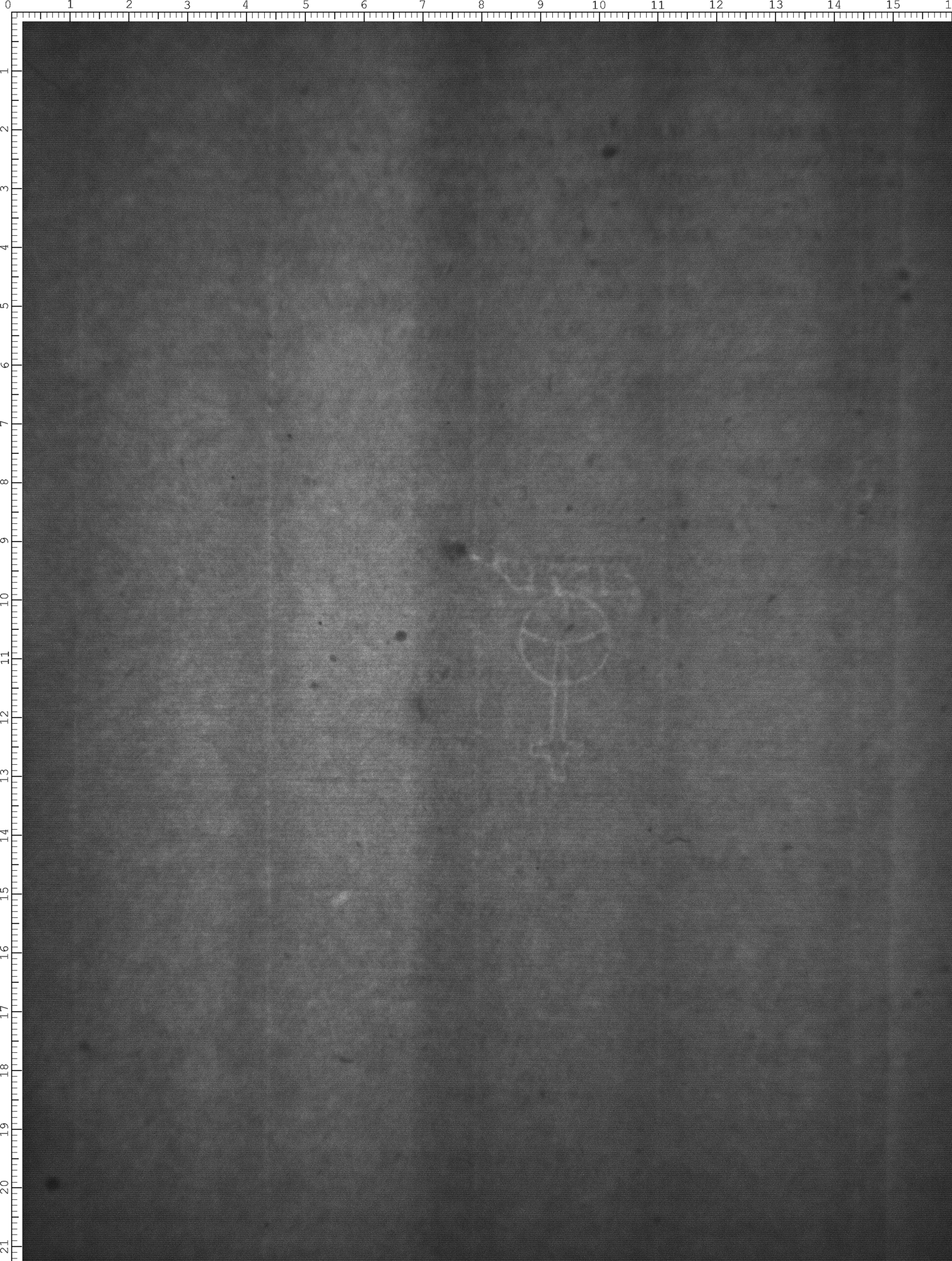 Watermark