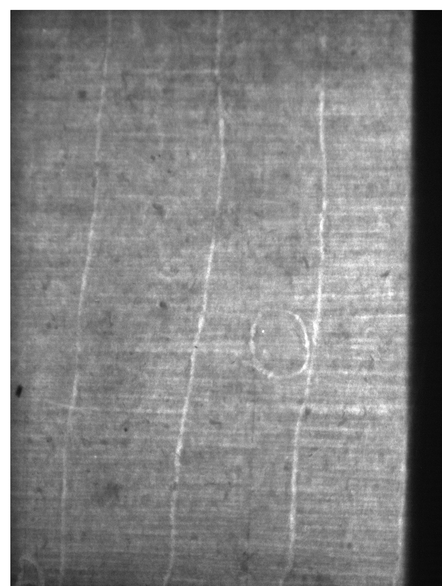 Watermark
