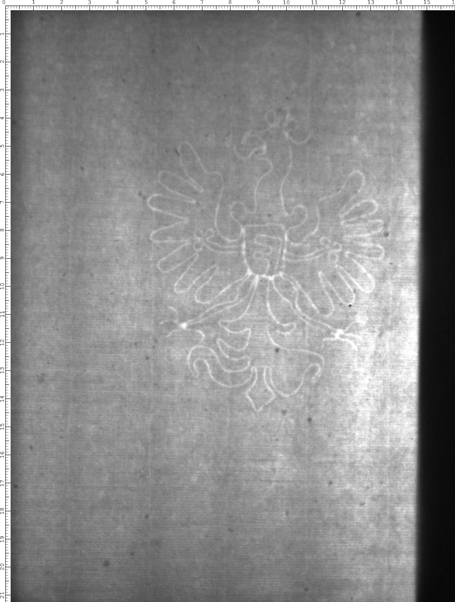 Watermark
