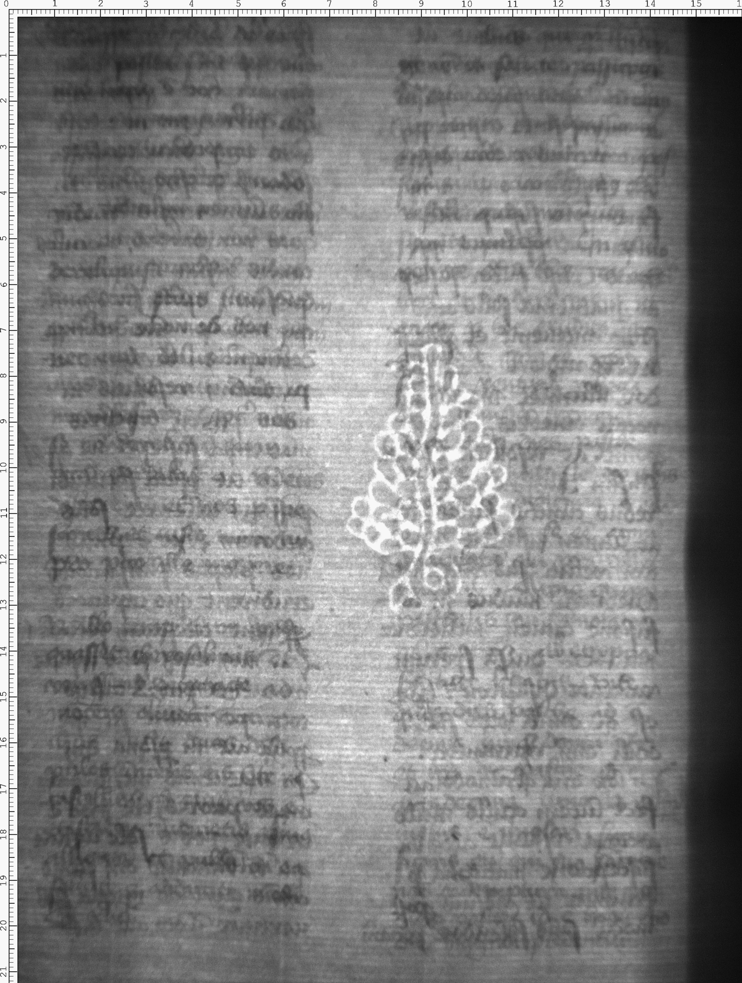 Watermark