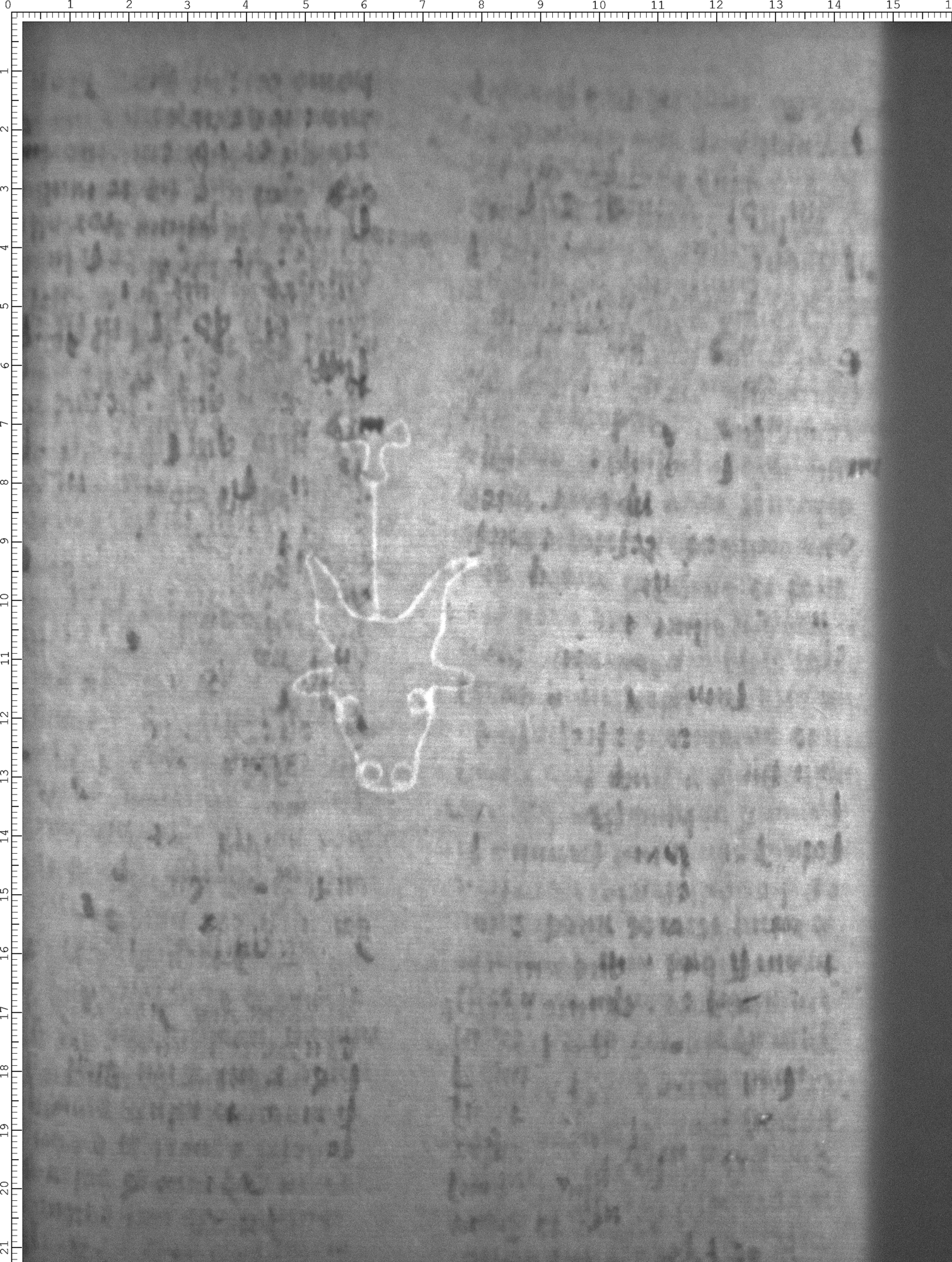 Watermark