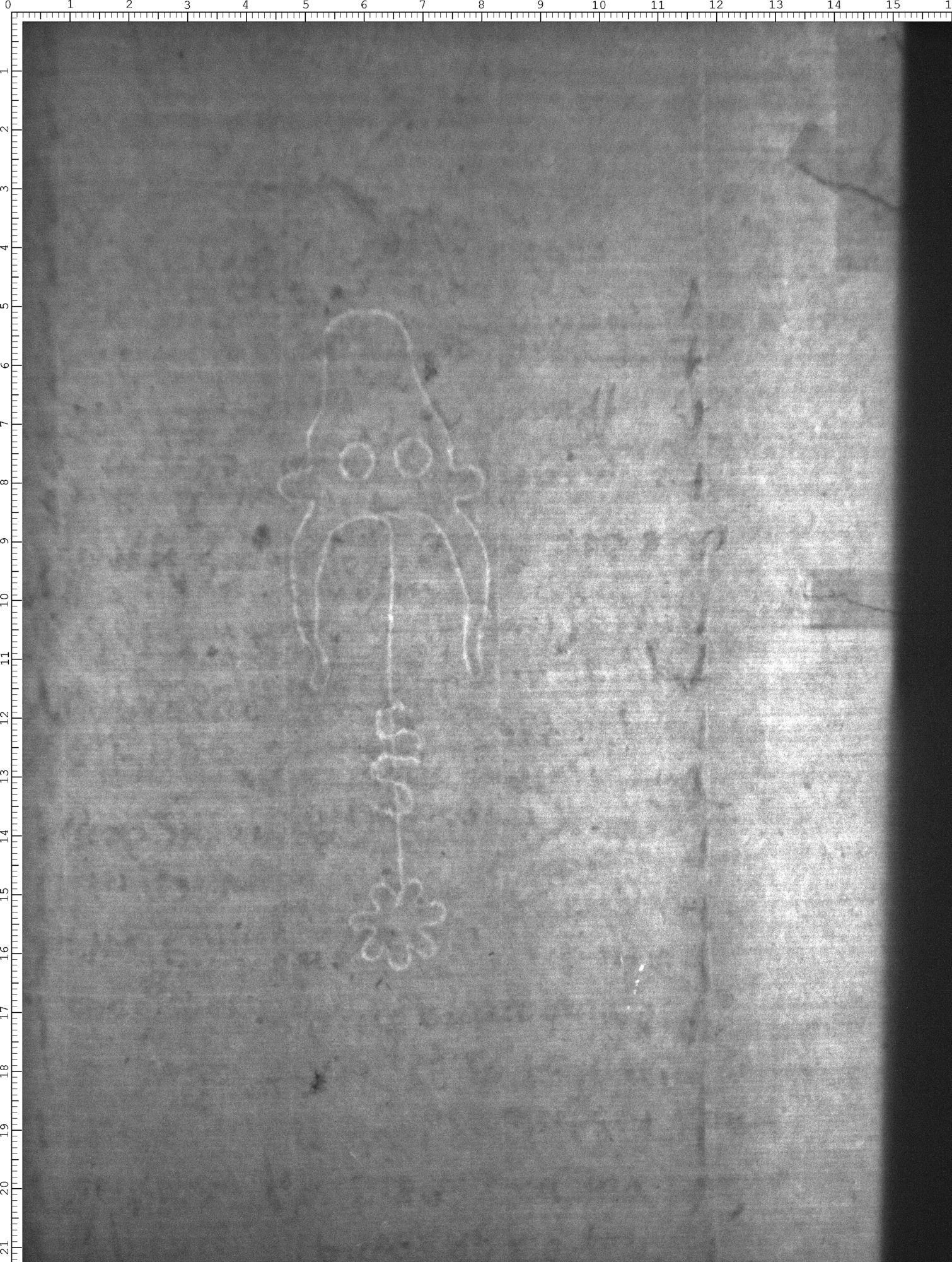 Watermark