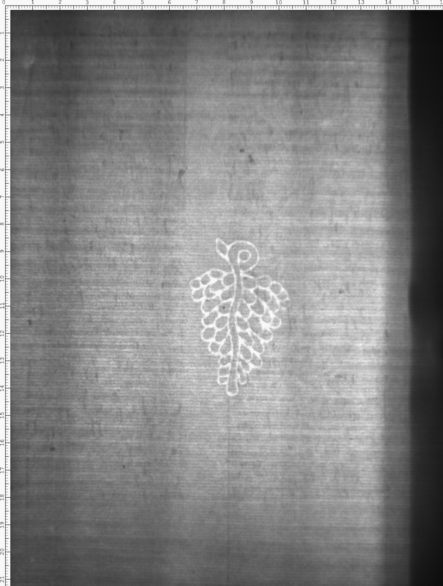 Watermark