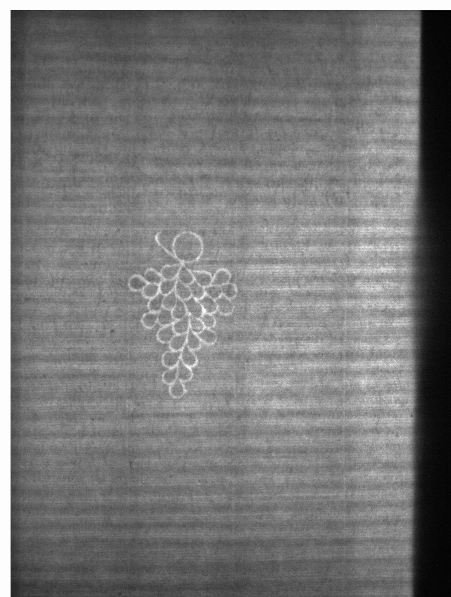 Watermark