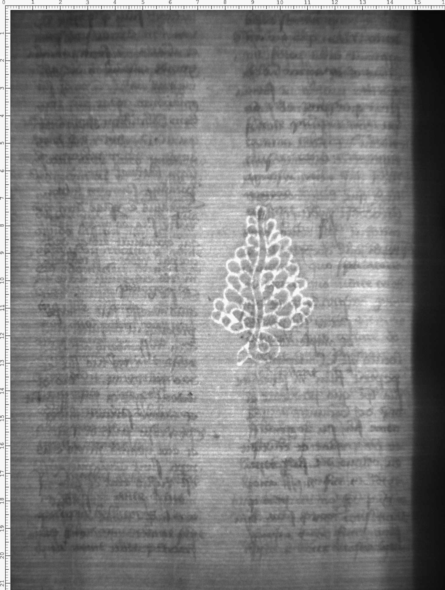 Watermark