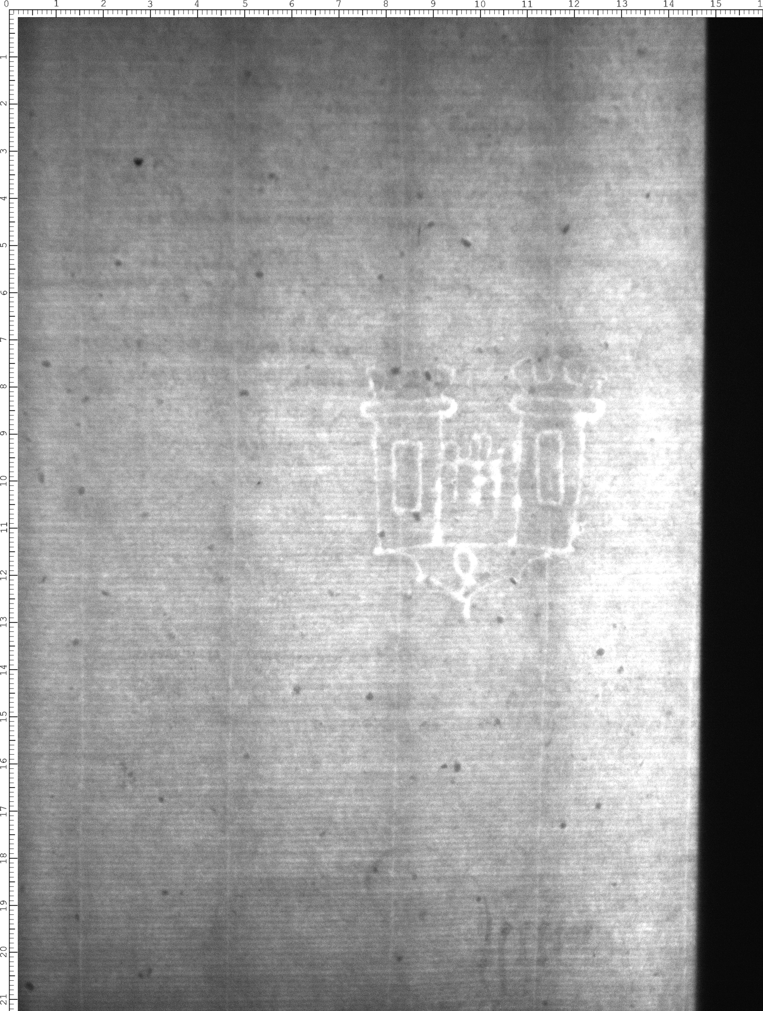 Watermark