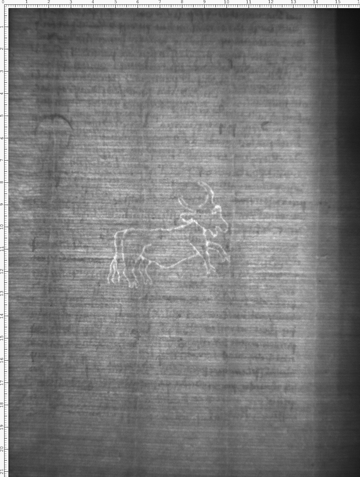 Watermark