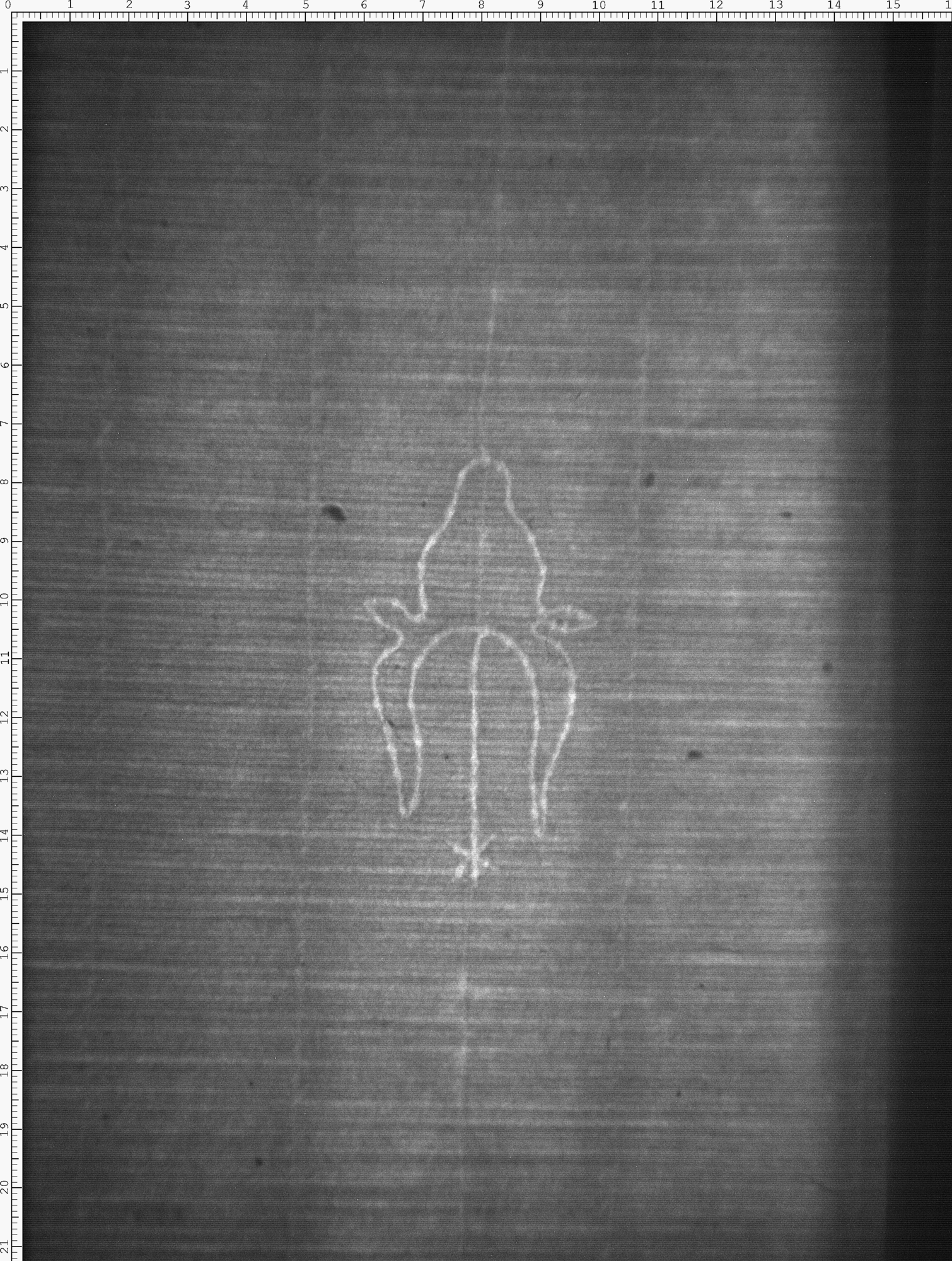 Watermark