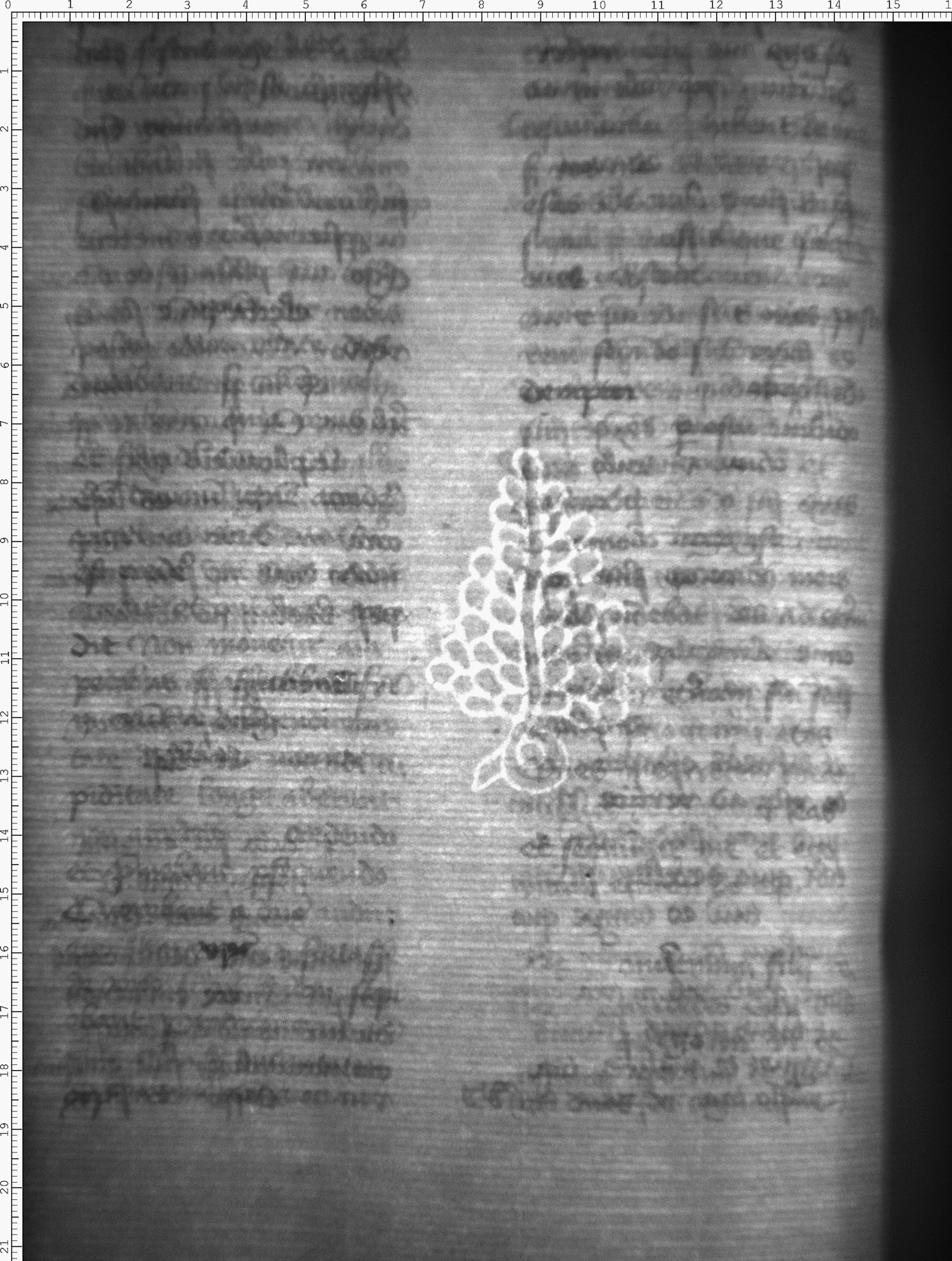 Watermark