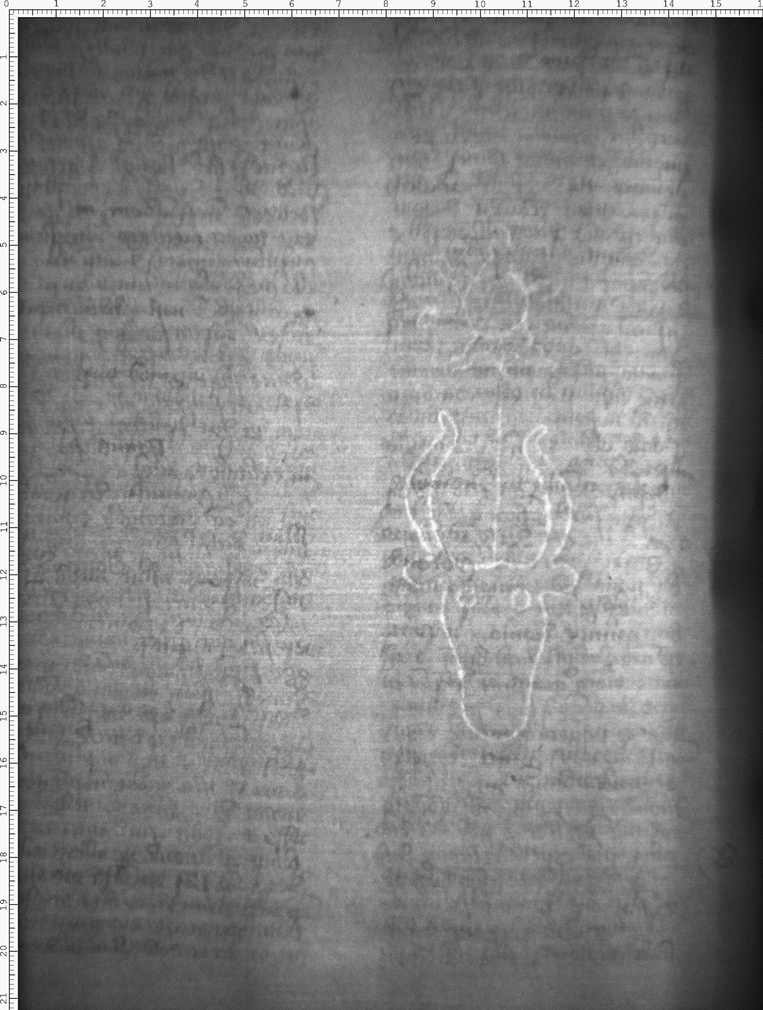 Watermark