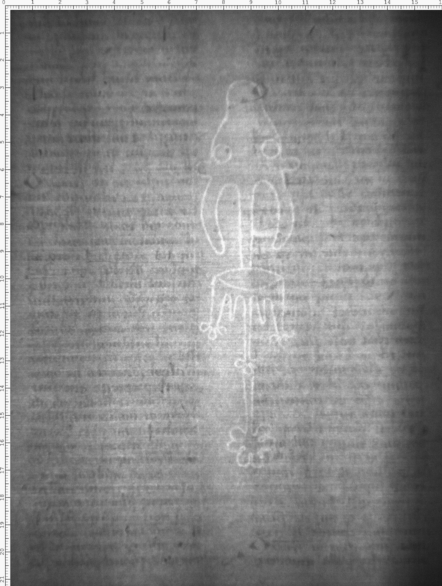 Watermark