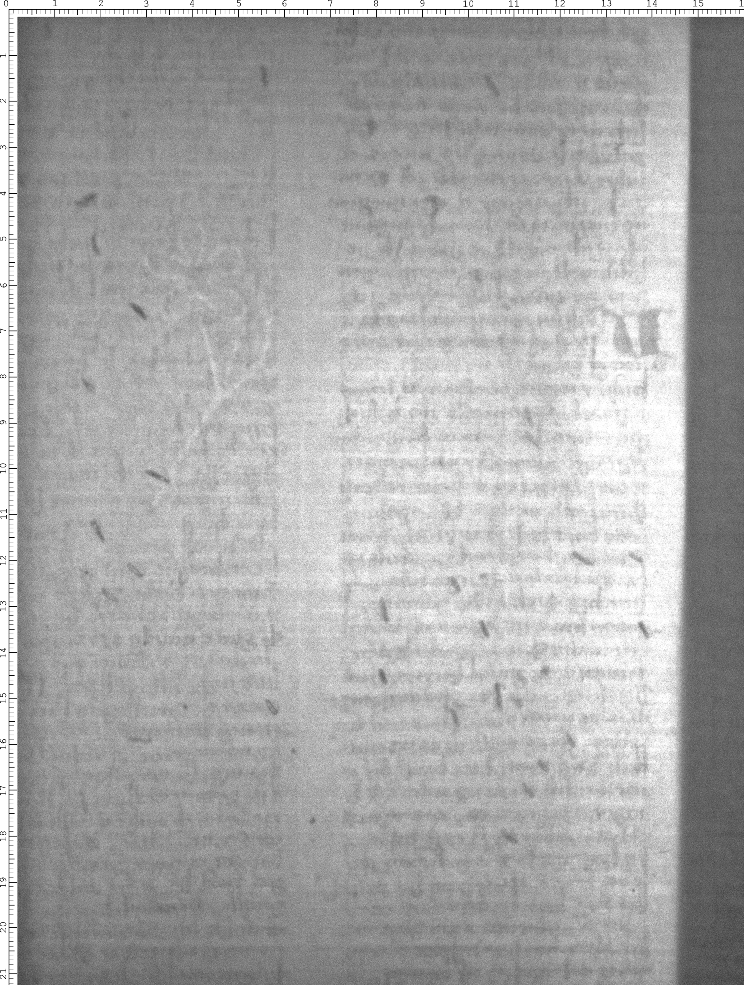 Watermark