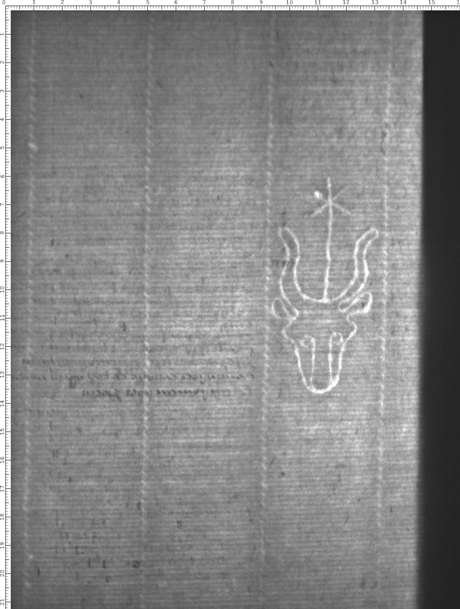 Watermark