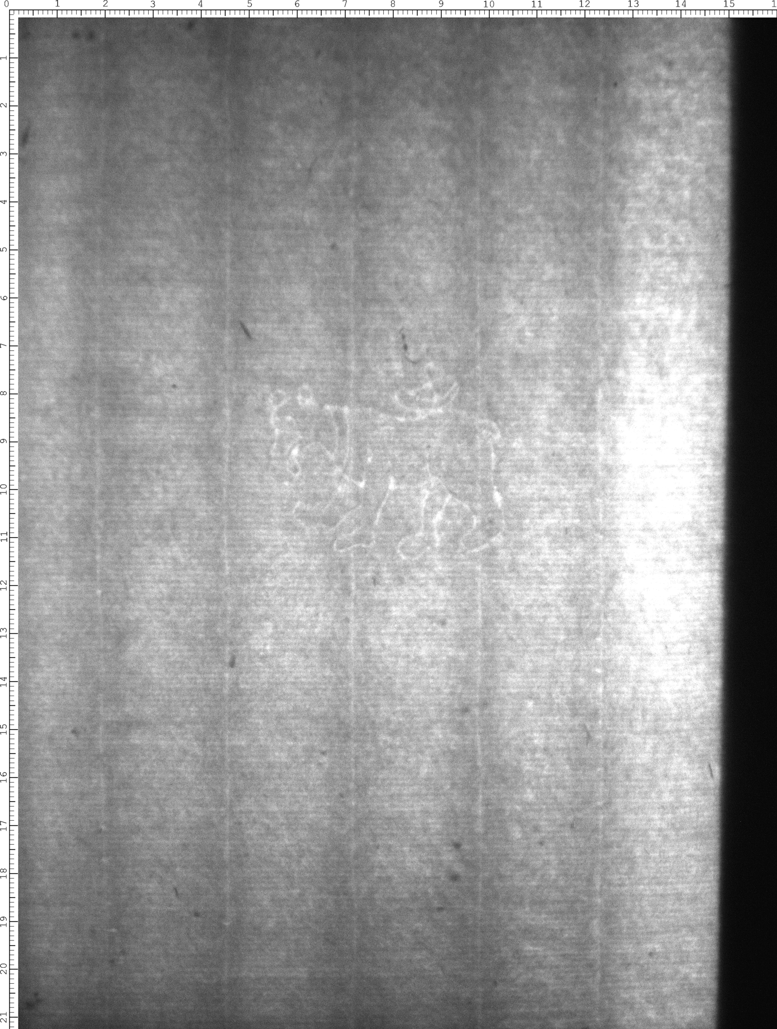 Watermark