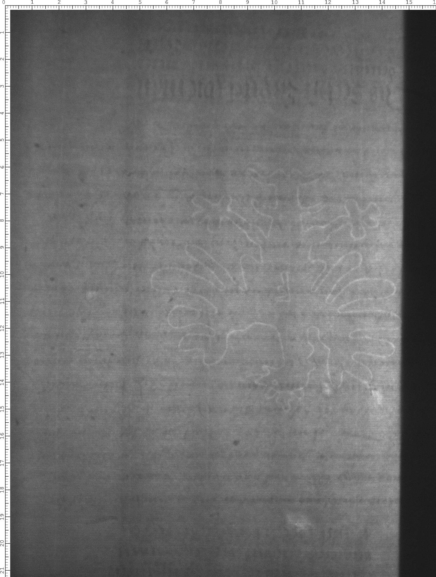 Watermark