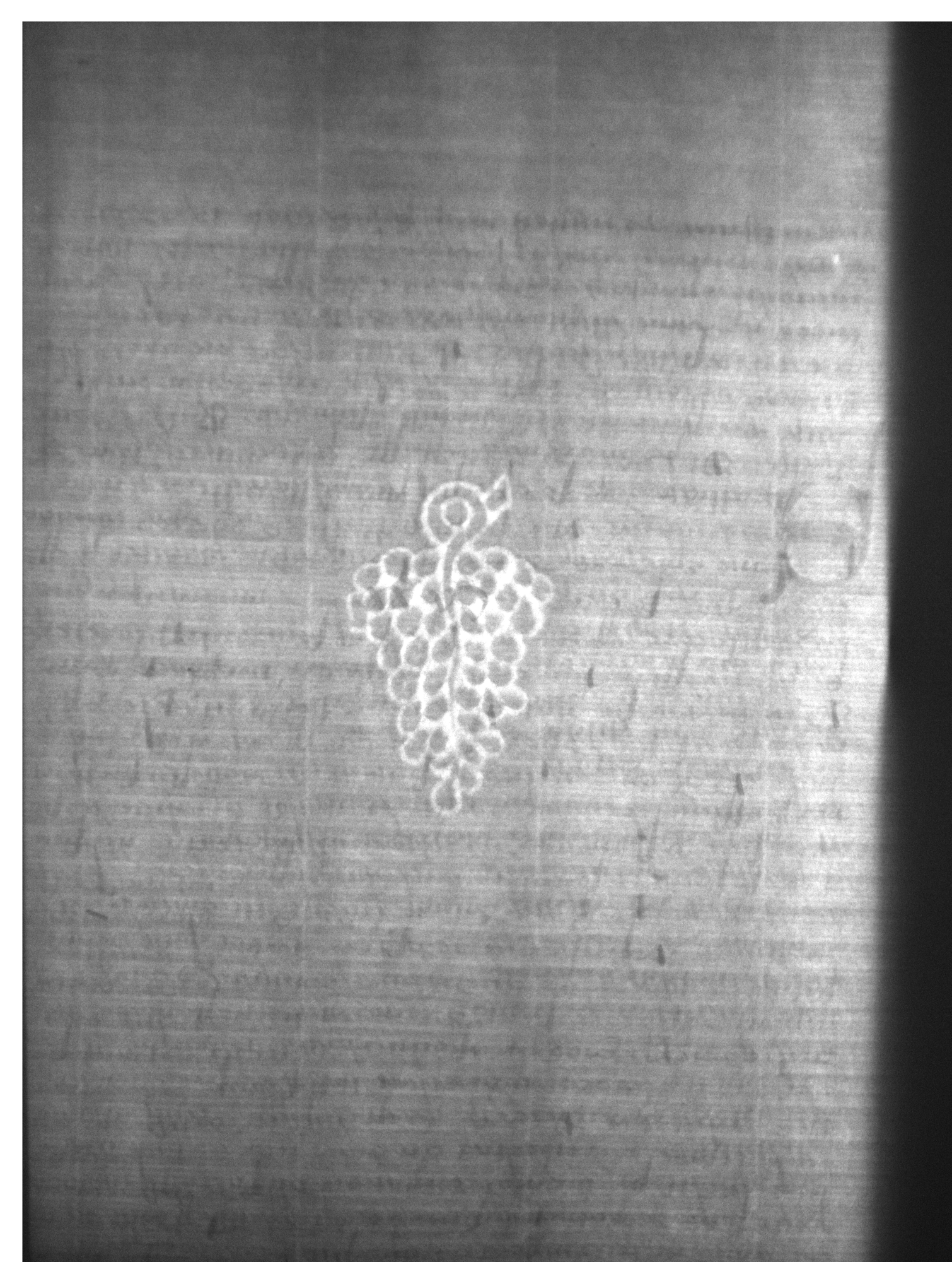 Watermark