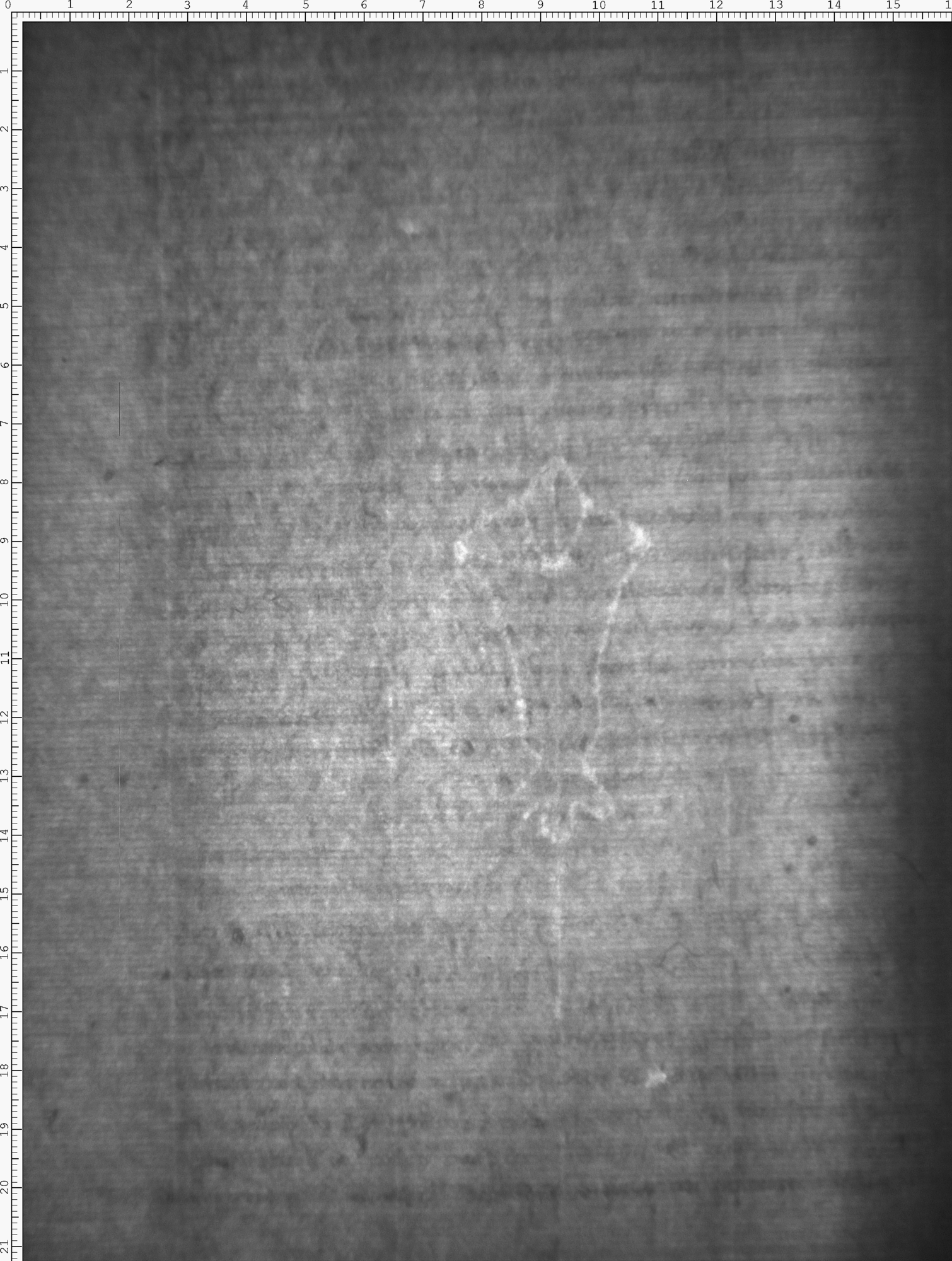 Watermark