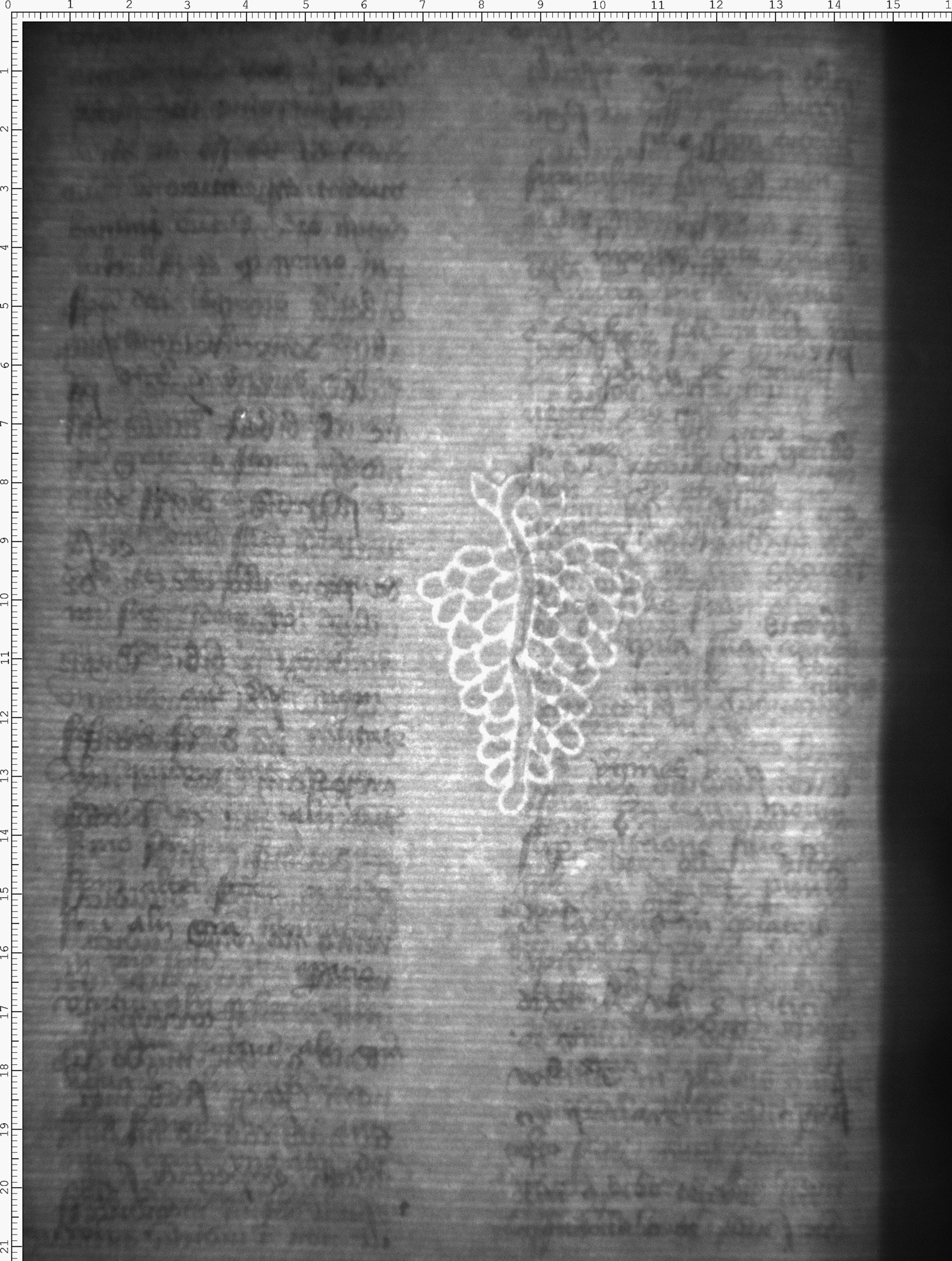 Watermark