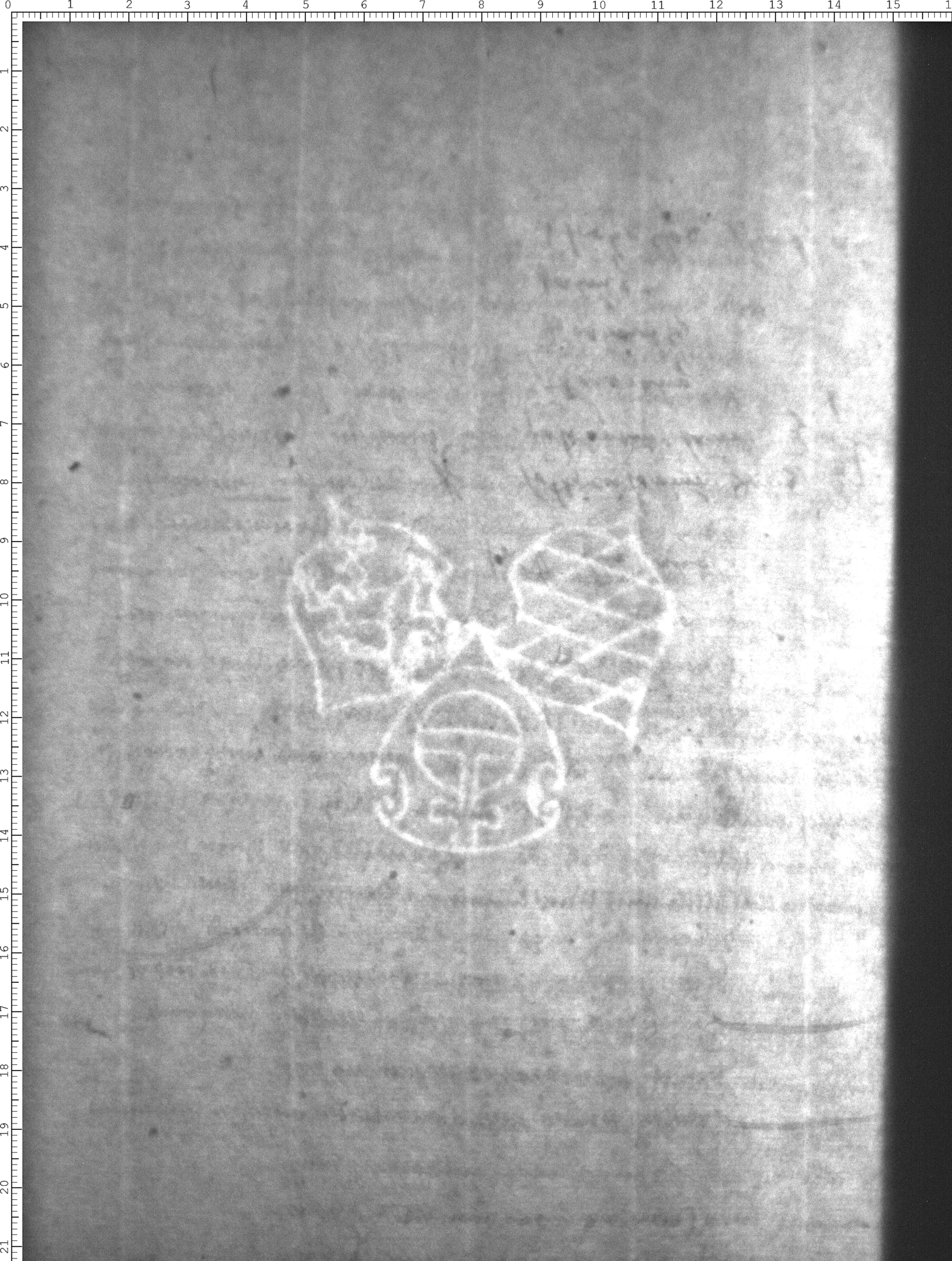 Watermark