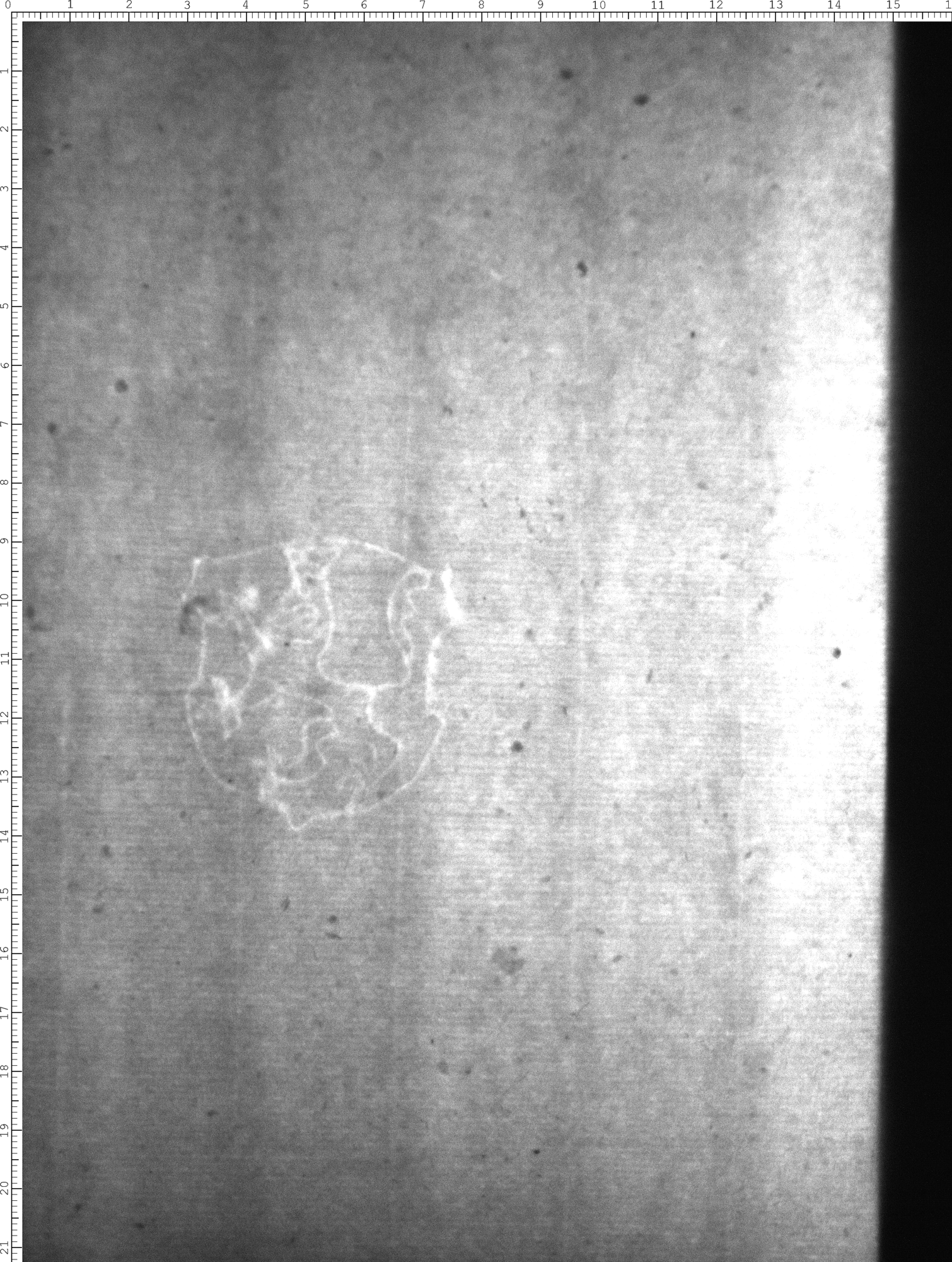 Watermark
