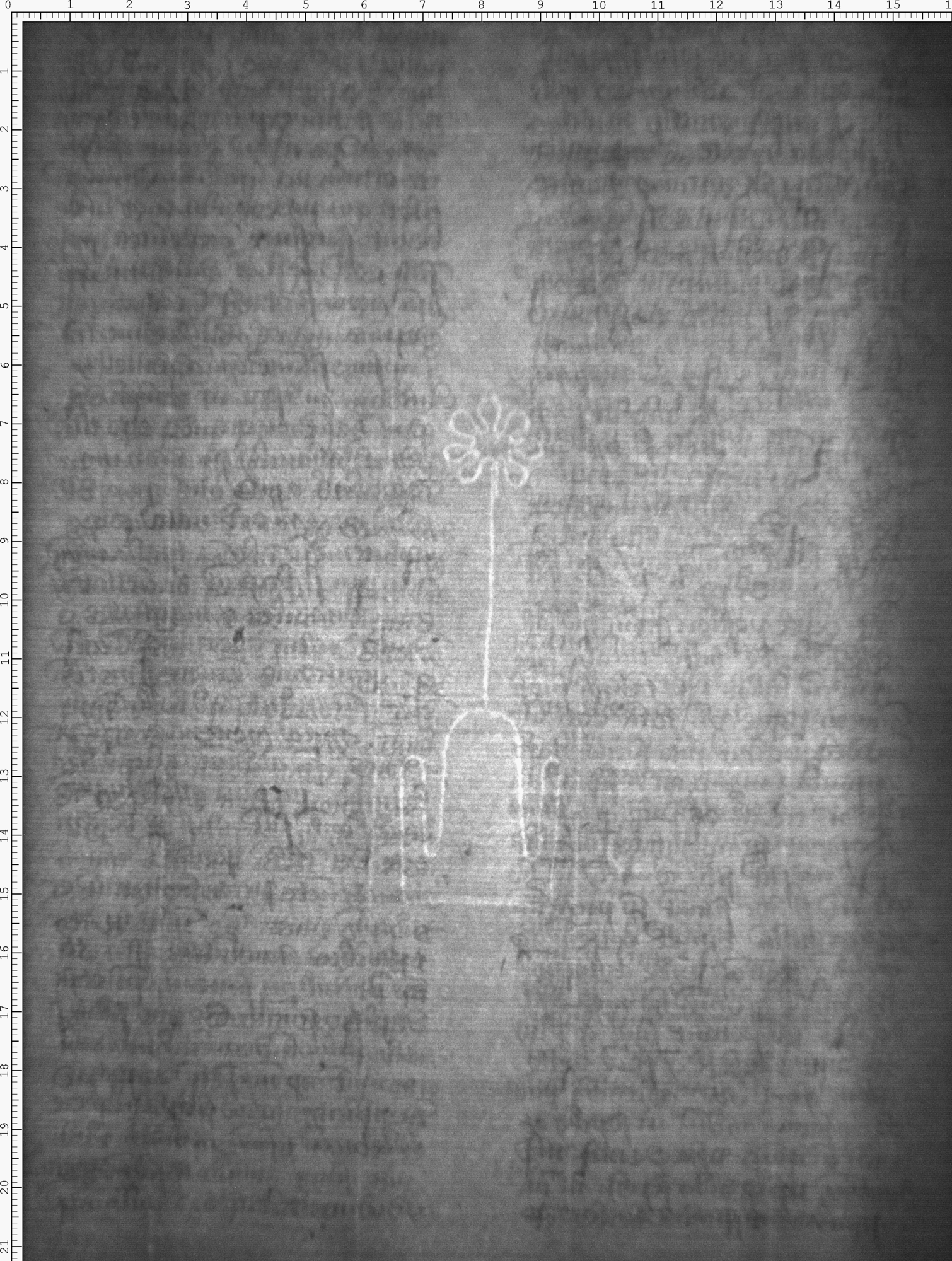 Watermark