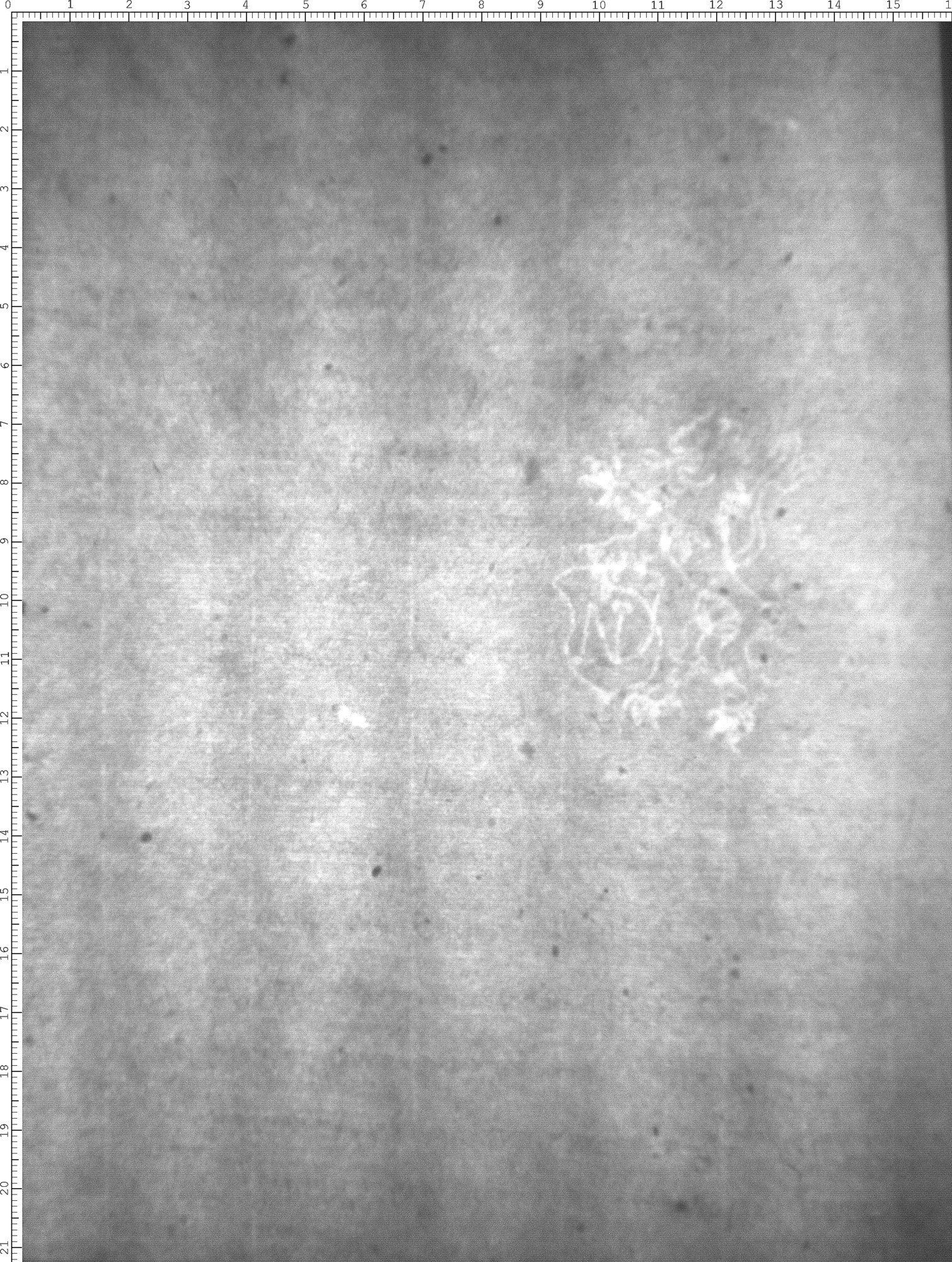 Watermark