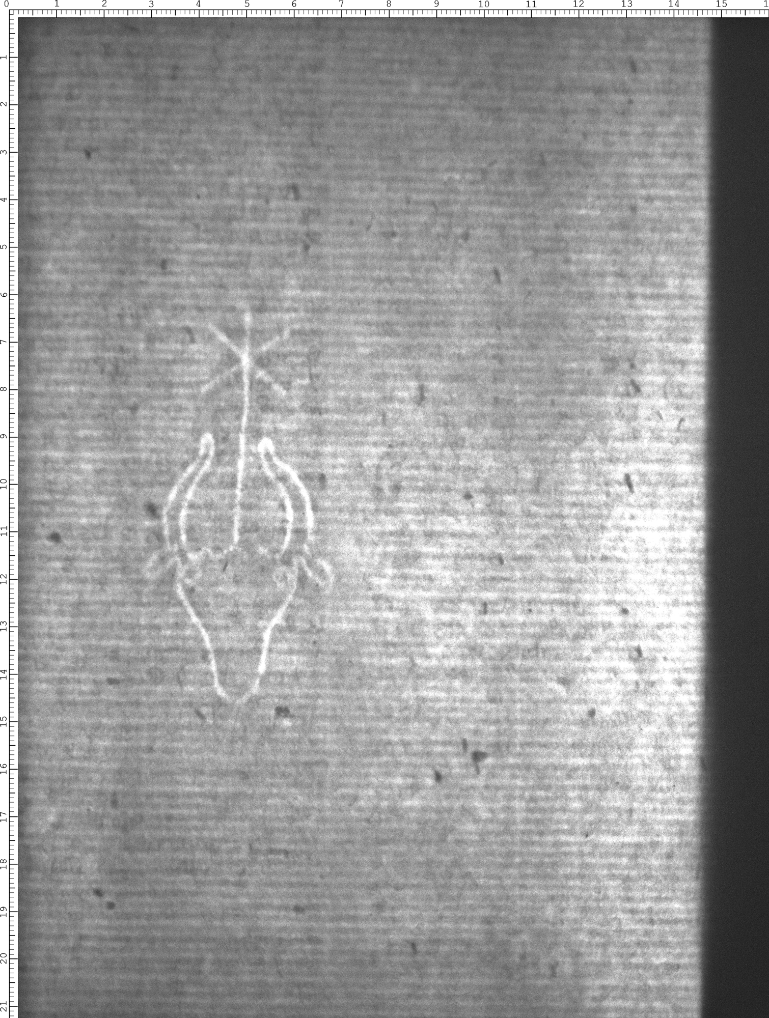 Watermark