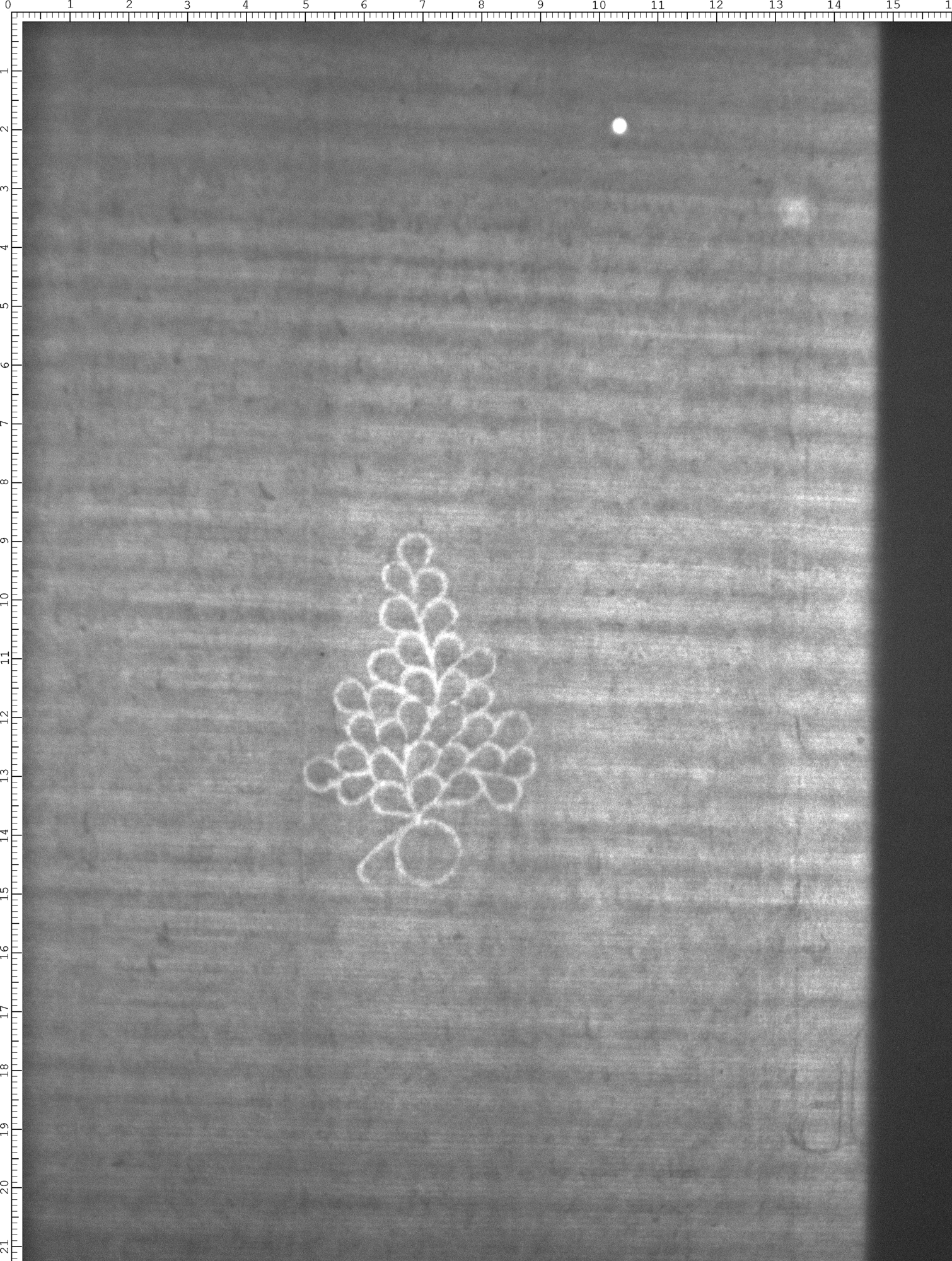 Watermark