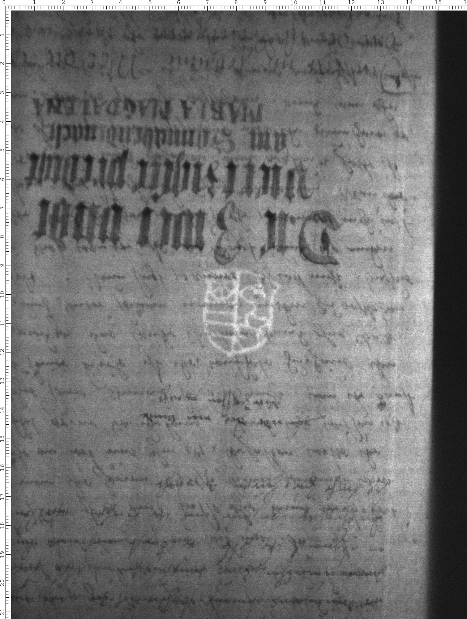 Watermark