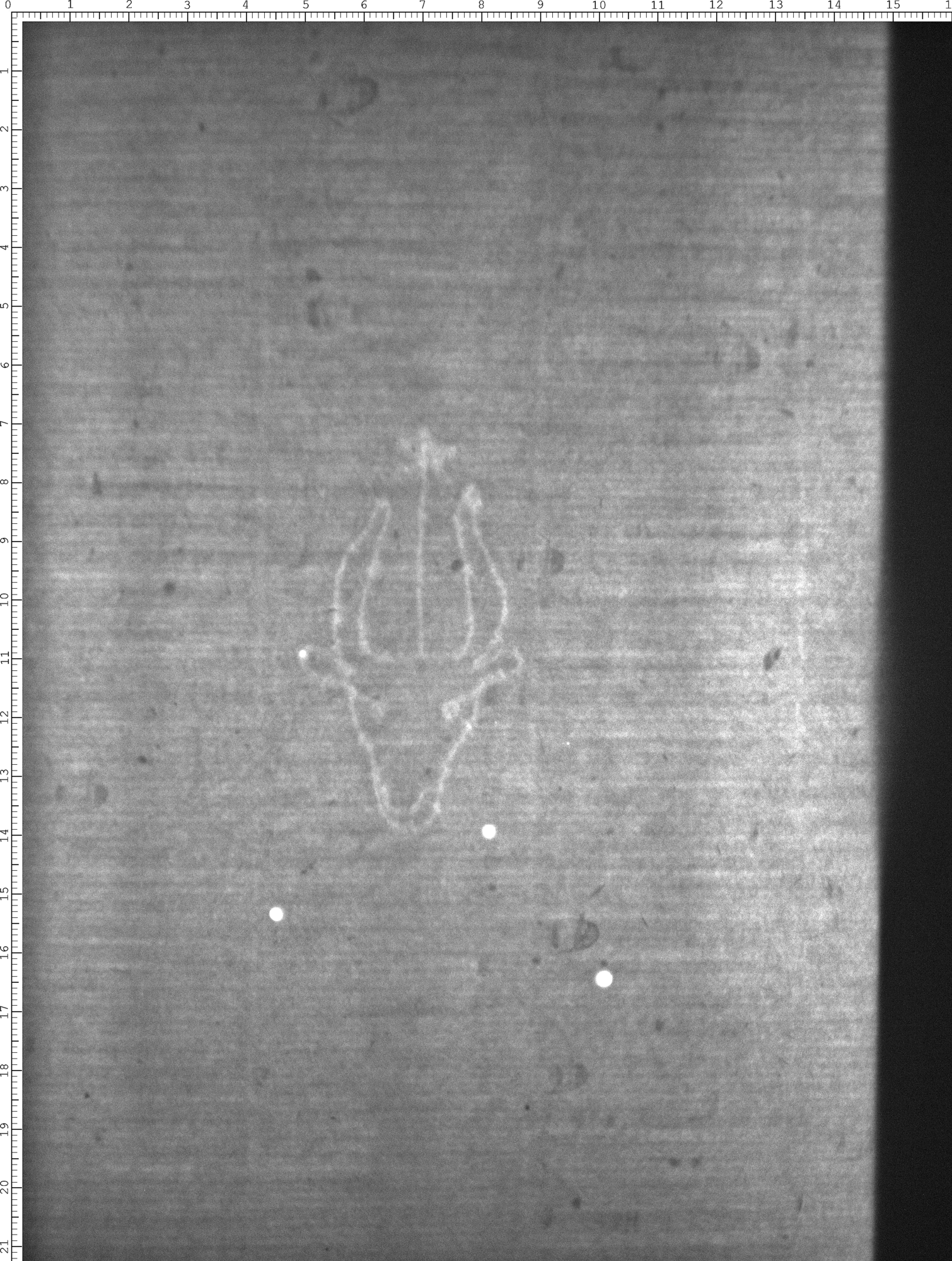 Watermark
