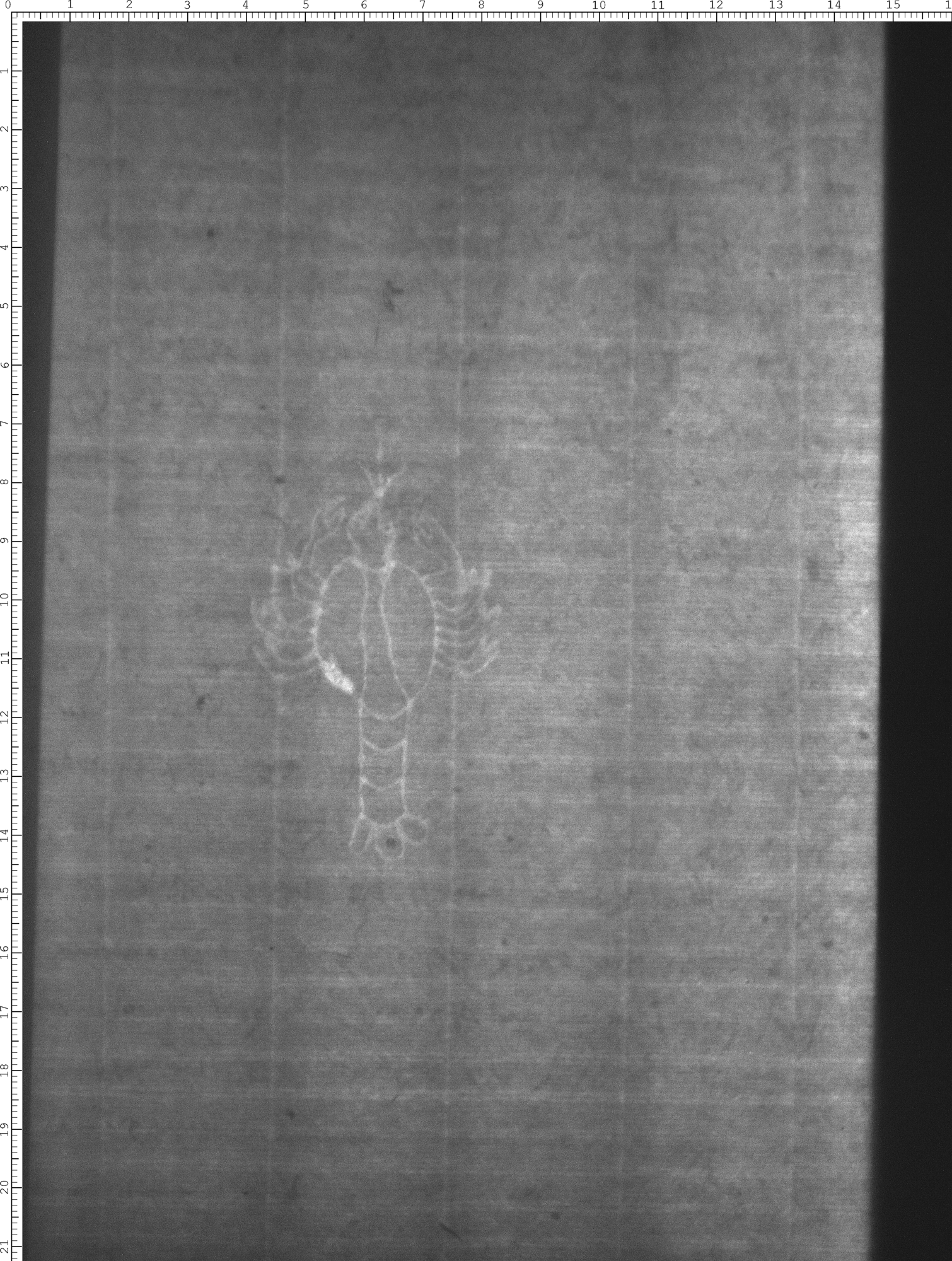 Watermark