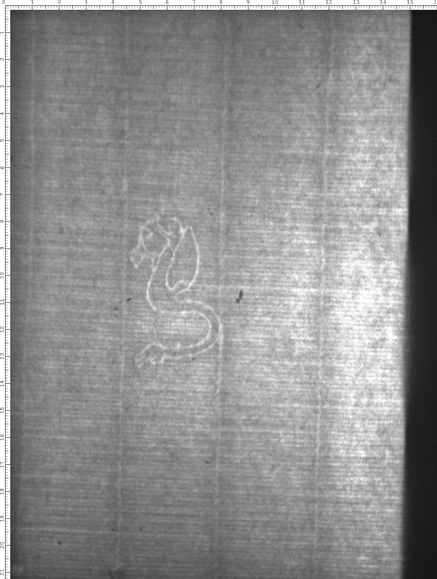 Watermark