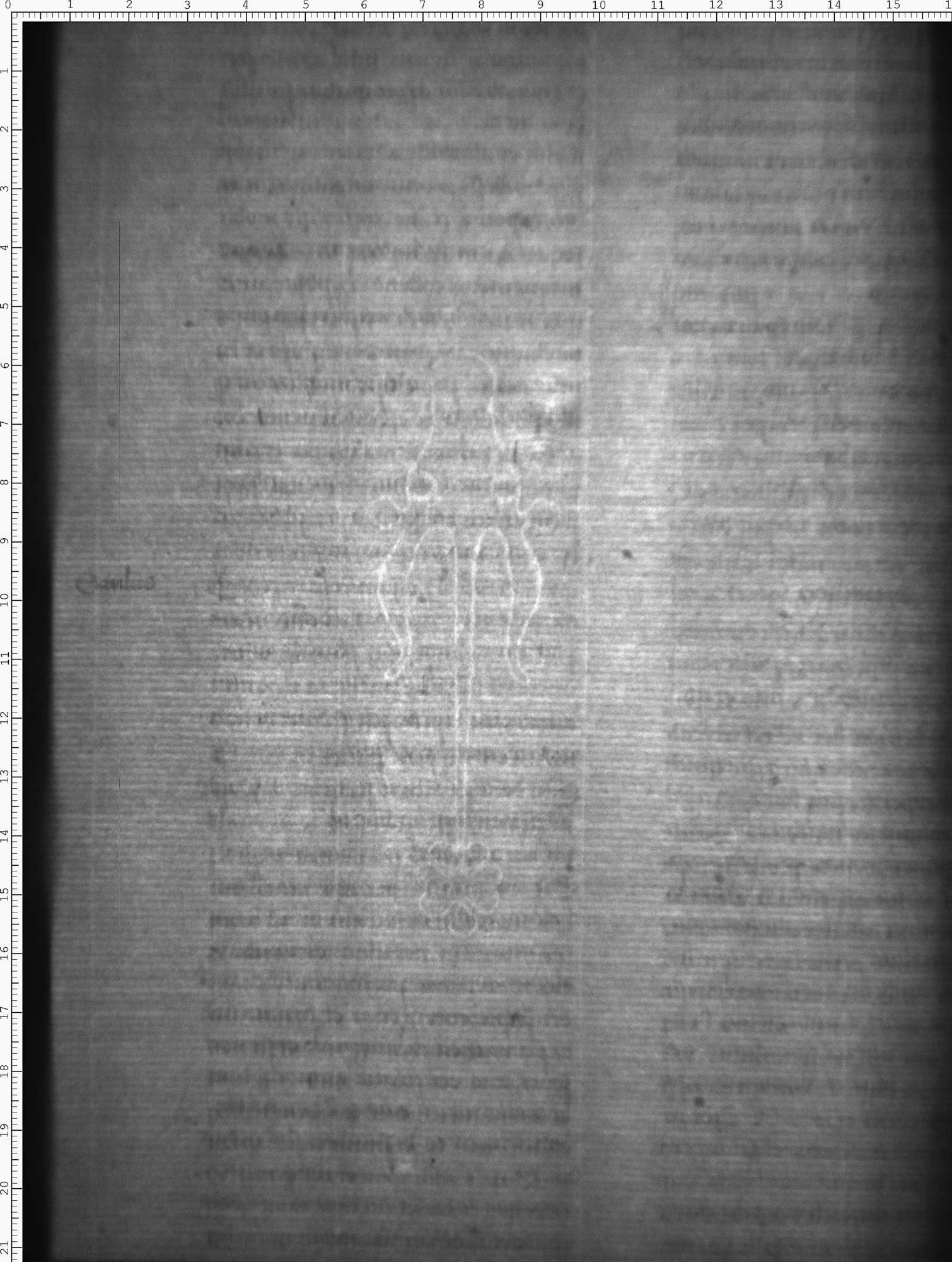 Watermark