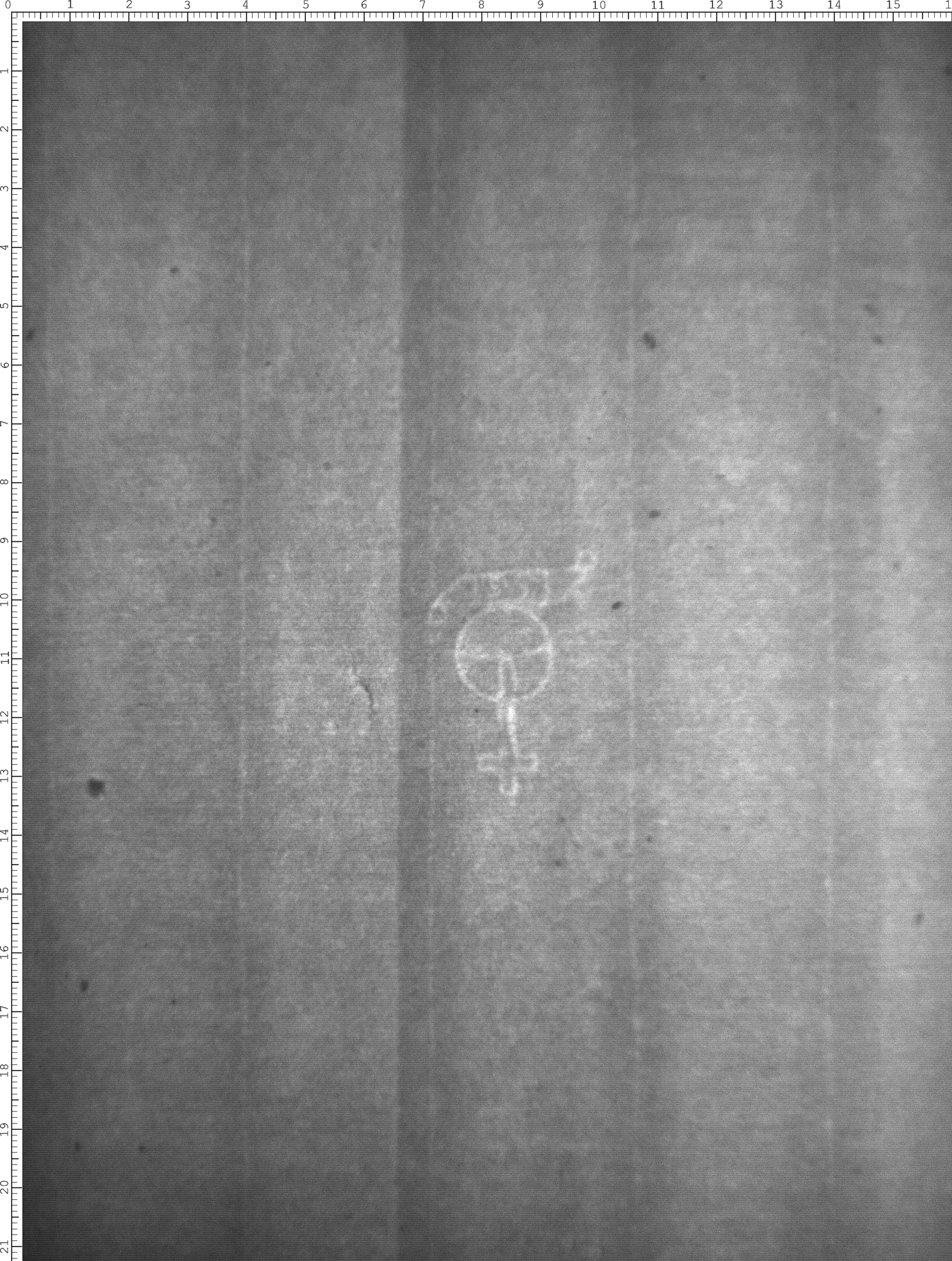 Watermark