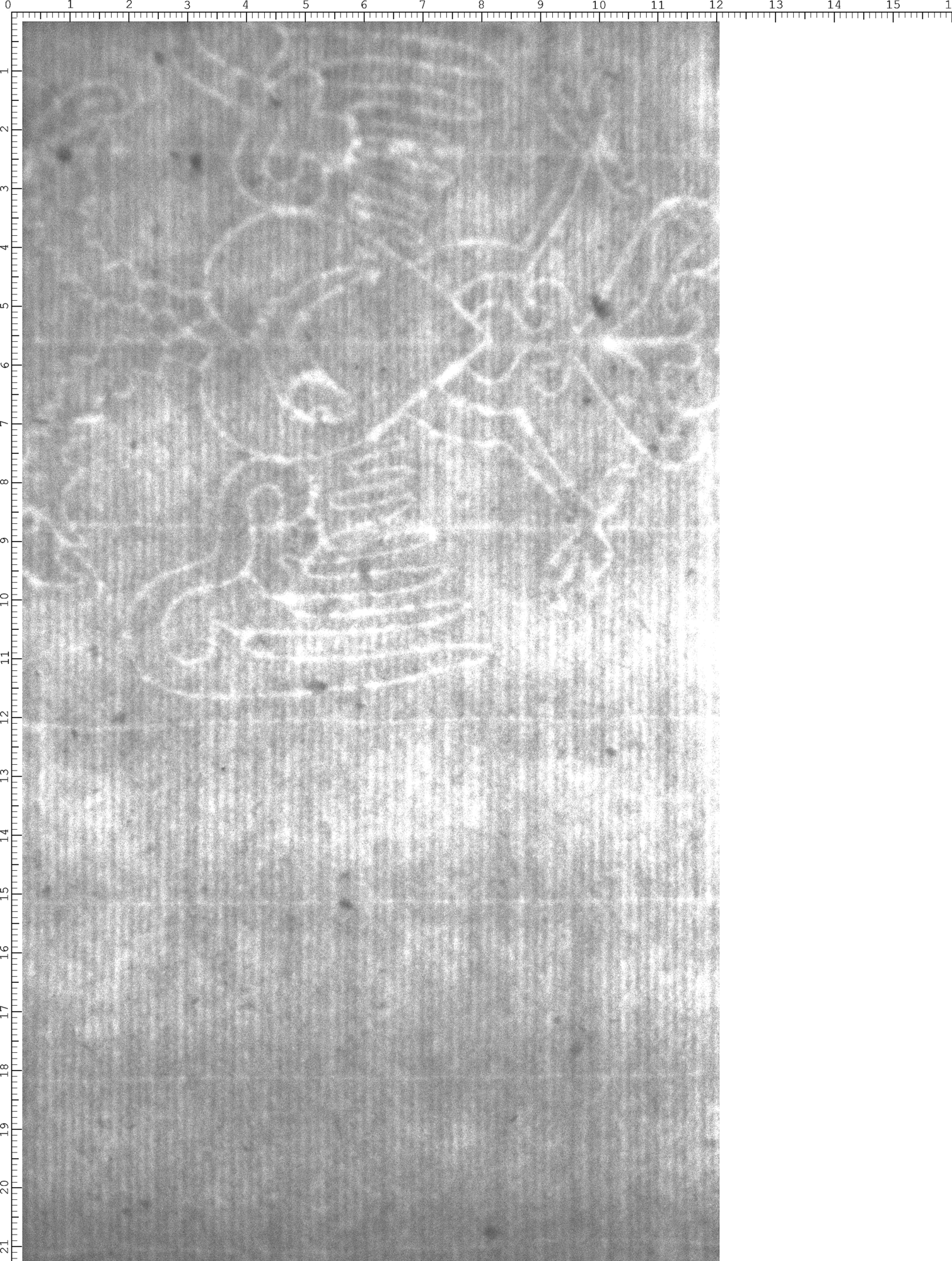 Watermark