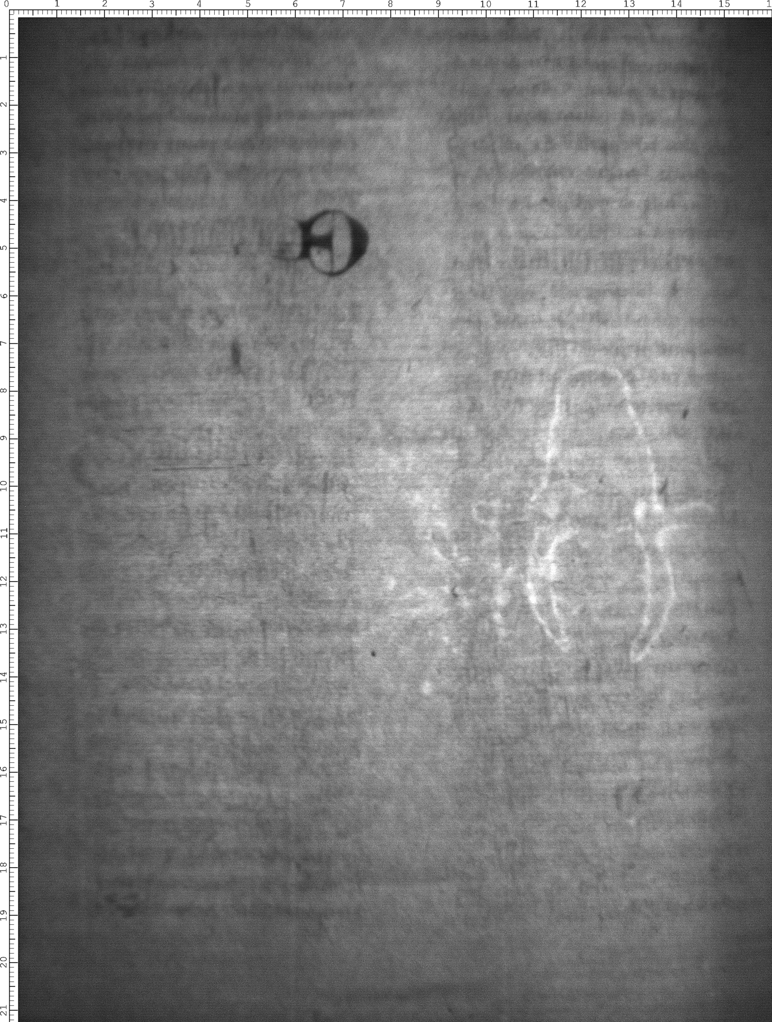 Watermark