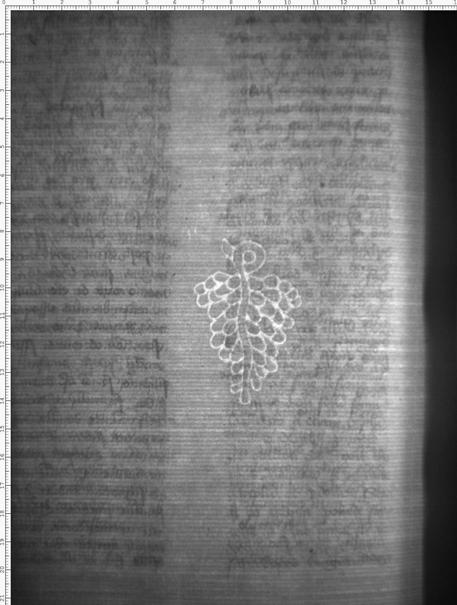 Watermark