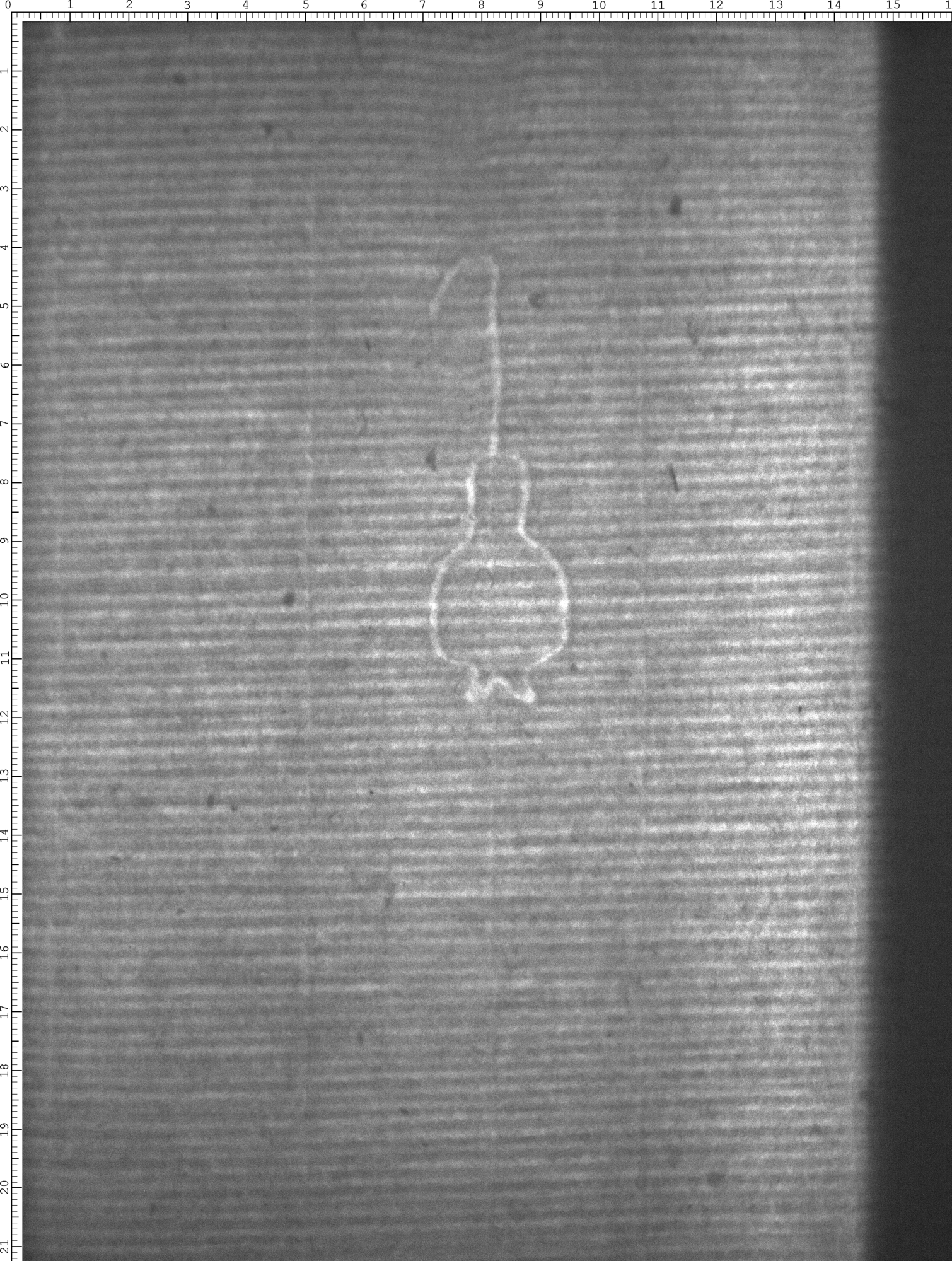 Watermark